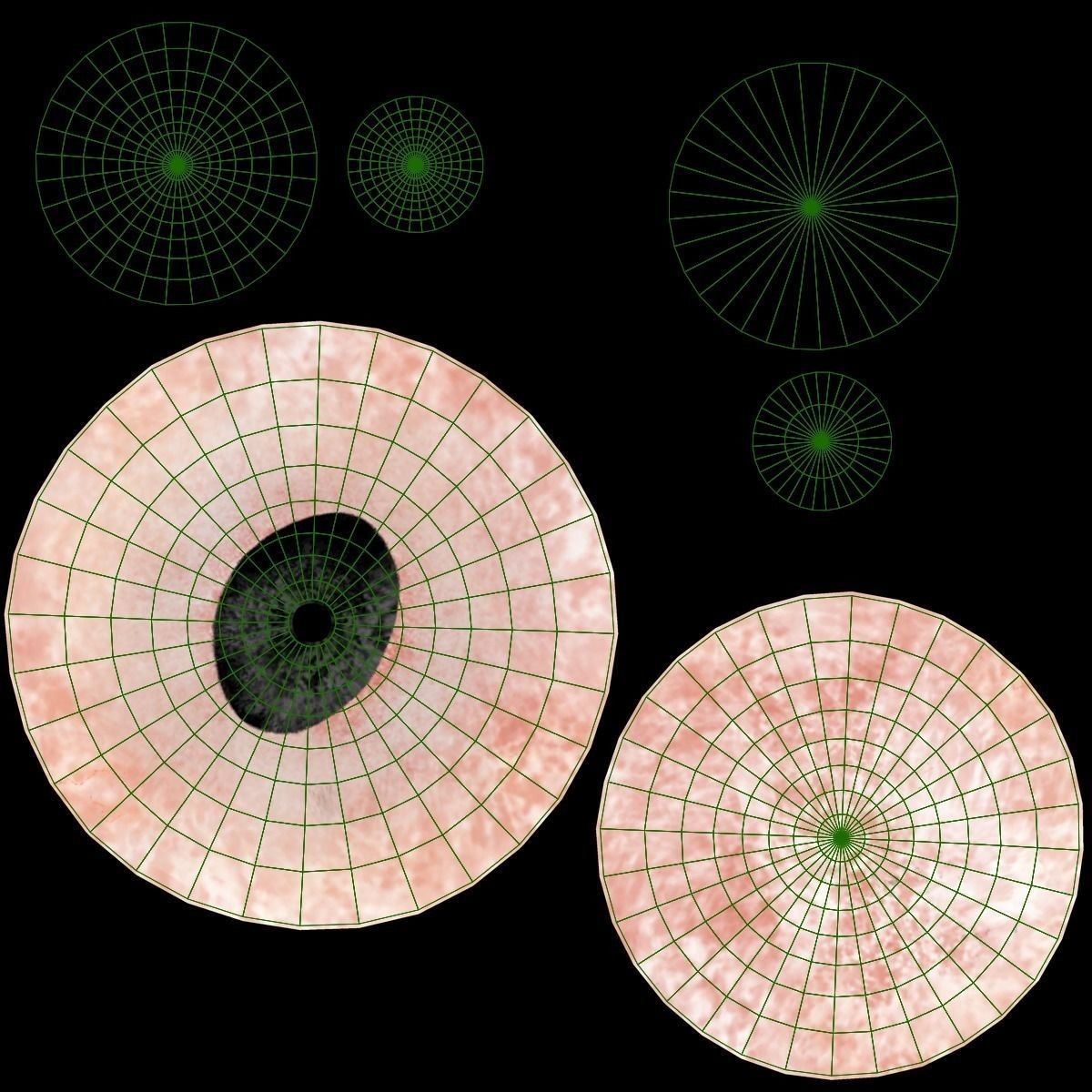 Cattle Cow - Animated Rigged Game-Ready 3D Model - View 34