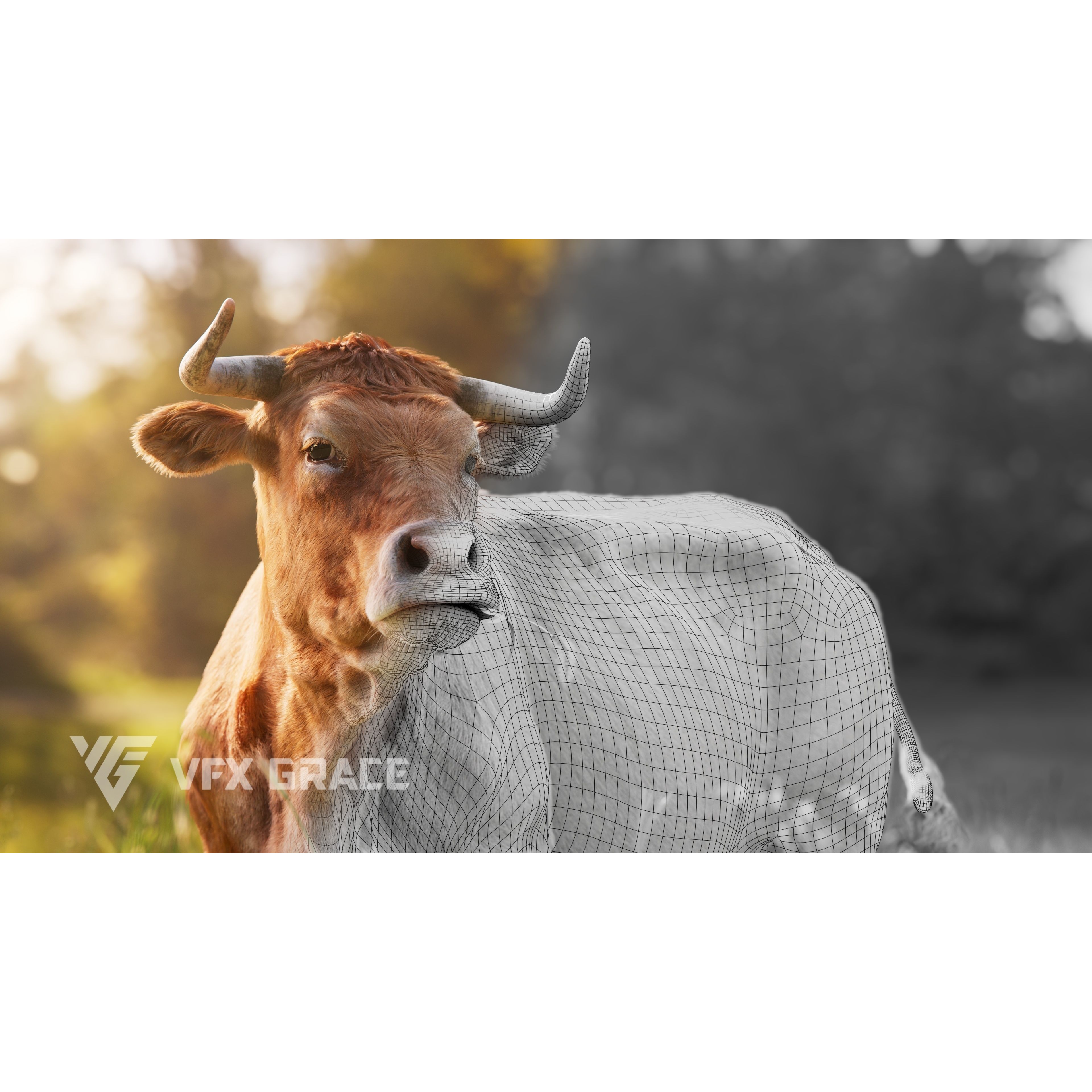 Cattle Cow - Animated Rigged Game-Ready 3D Model - View 5