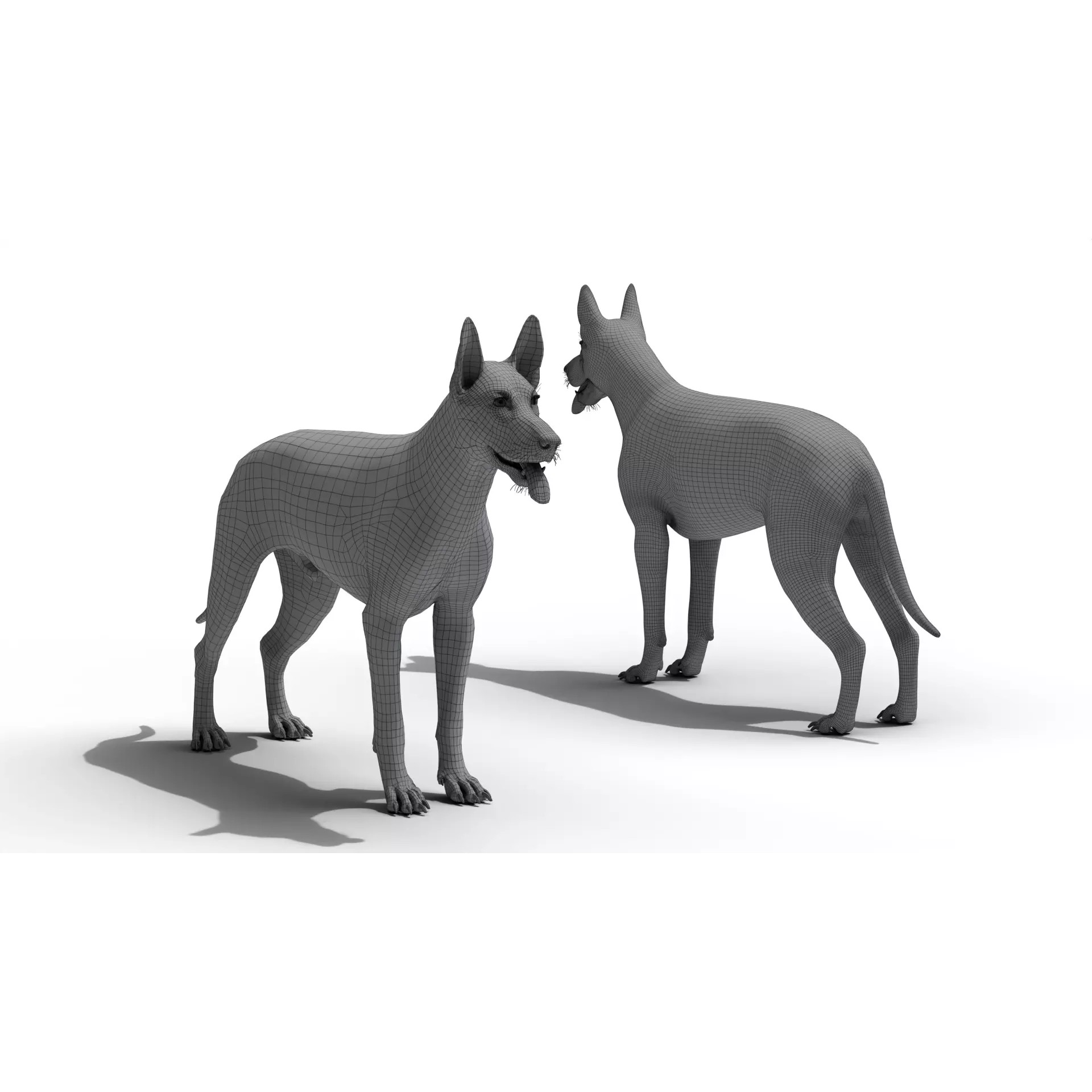 Shepherd German - Low-Poly Game-Ready 3D Model - View 13