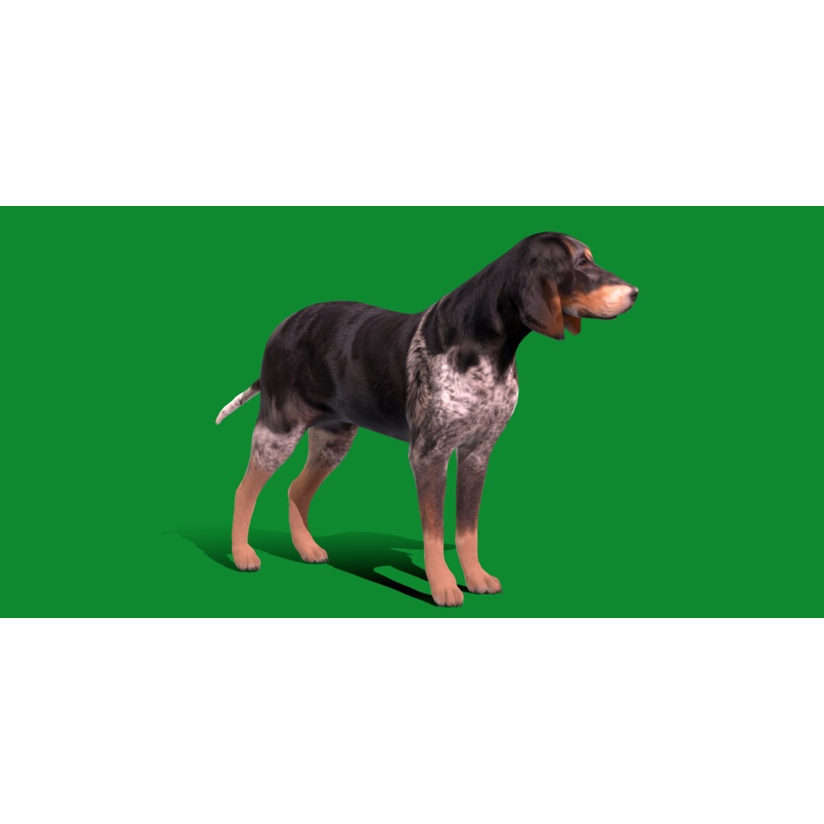 Grand Bleu De Gascogne Dog - Low-Poly Game-Ready 3D Model