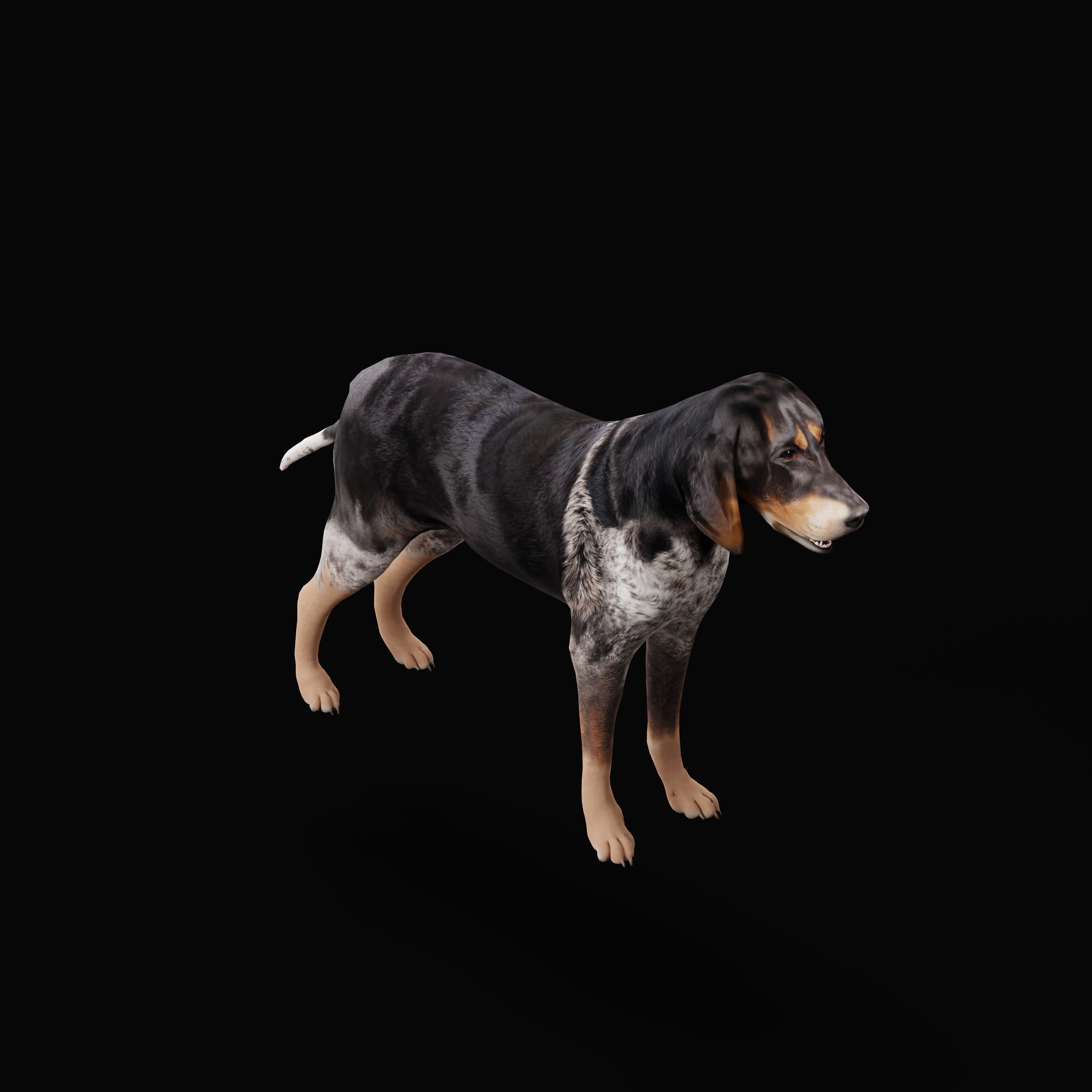 Grand Bleu De Gascogne Dog - Low-Poly Game-Ready 3D Model - View 10