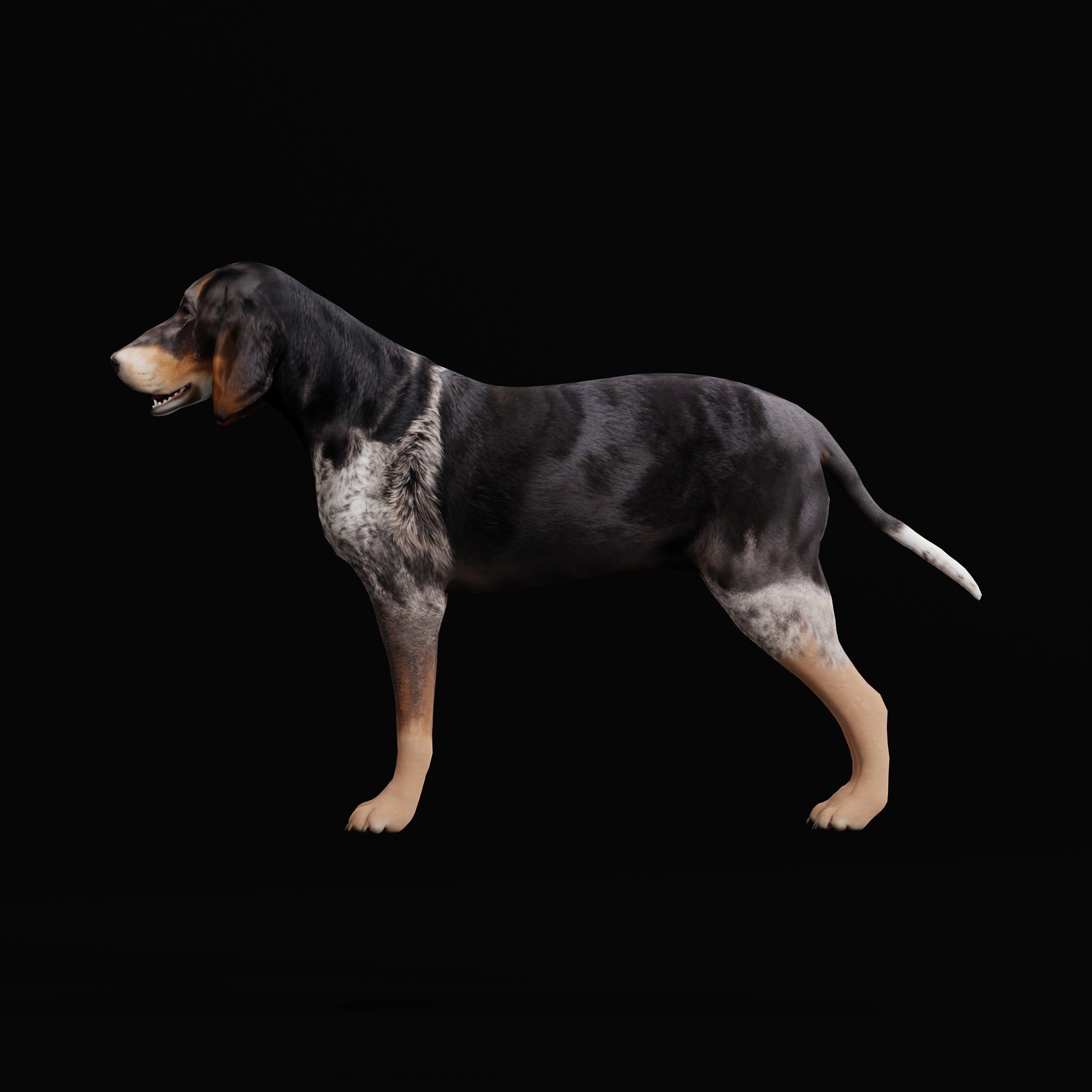 Grand Bleu De Gascogne Dog - Low-Poly Game-Ready 3D Model - View 11