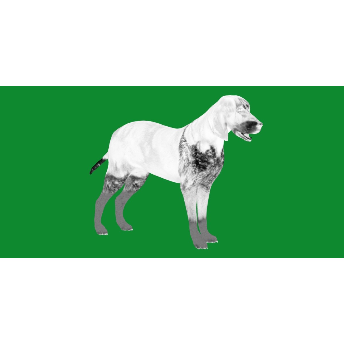 Grand Bleu De Gascogne Dog - Low-Poly Game-Ready 3D Model - View 14