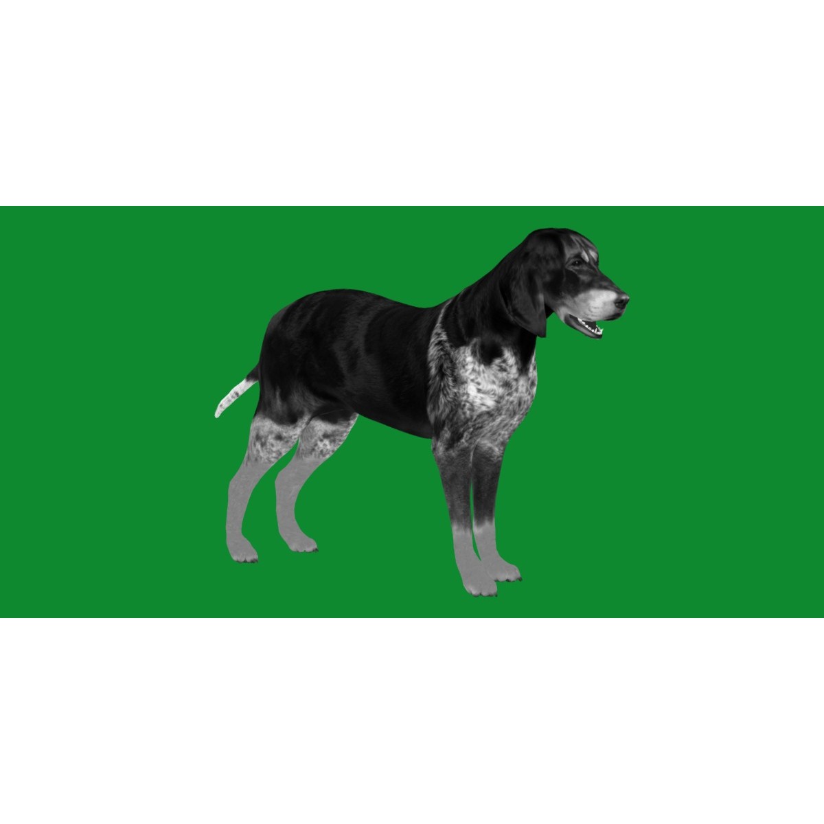 Grand Bleu De Gascogne Dog - Low-Poly Game-Ready 3D Model - View 15