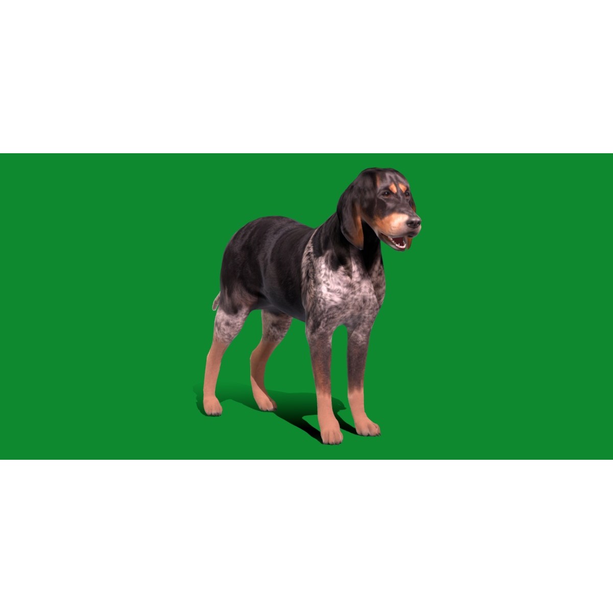 Grand Bleu De Gascogne Dog - Low-Poly Game-Ready 3D Model - View 23