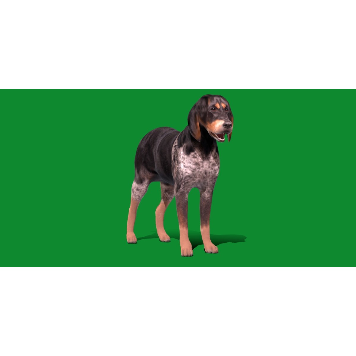 Grand Bleu De Gascogne Dog - Low-Poly Game-Ready 3D Model - View 26