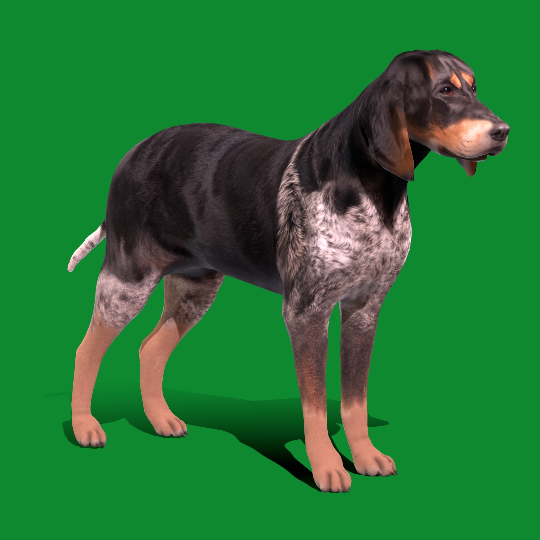 Grand Bleu De Gascogne Dog - Low-Poly Game-Ready 3D Model - View 27