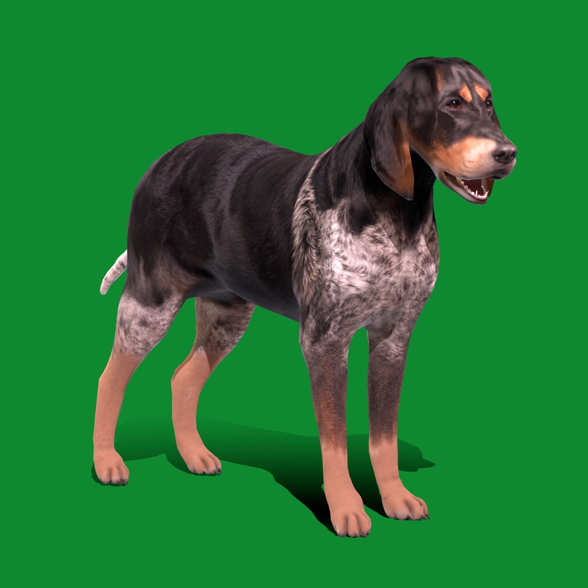 Grand Bleu De Gascogne Dog - Low-Poly Game-Ready 3D Model - View 28