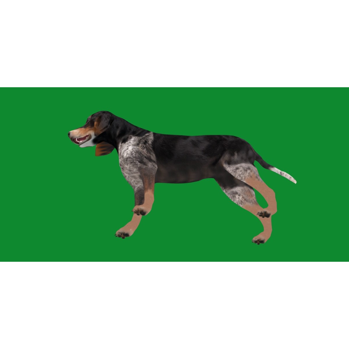 Grand Bleu De Gascogne Dog - Low-Poly Game-Ready 3D Model - View 32