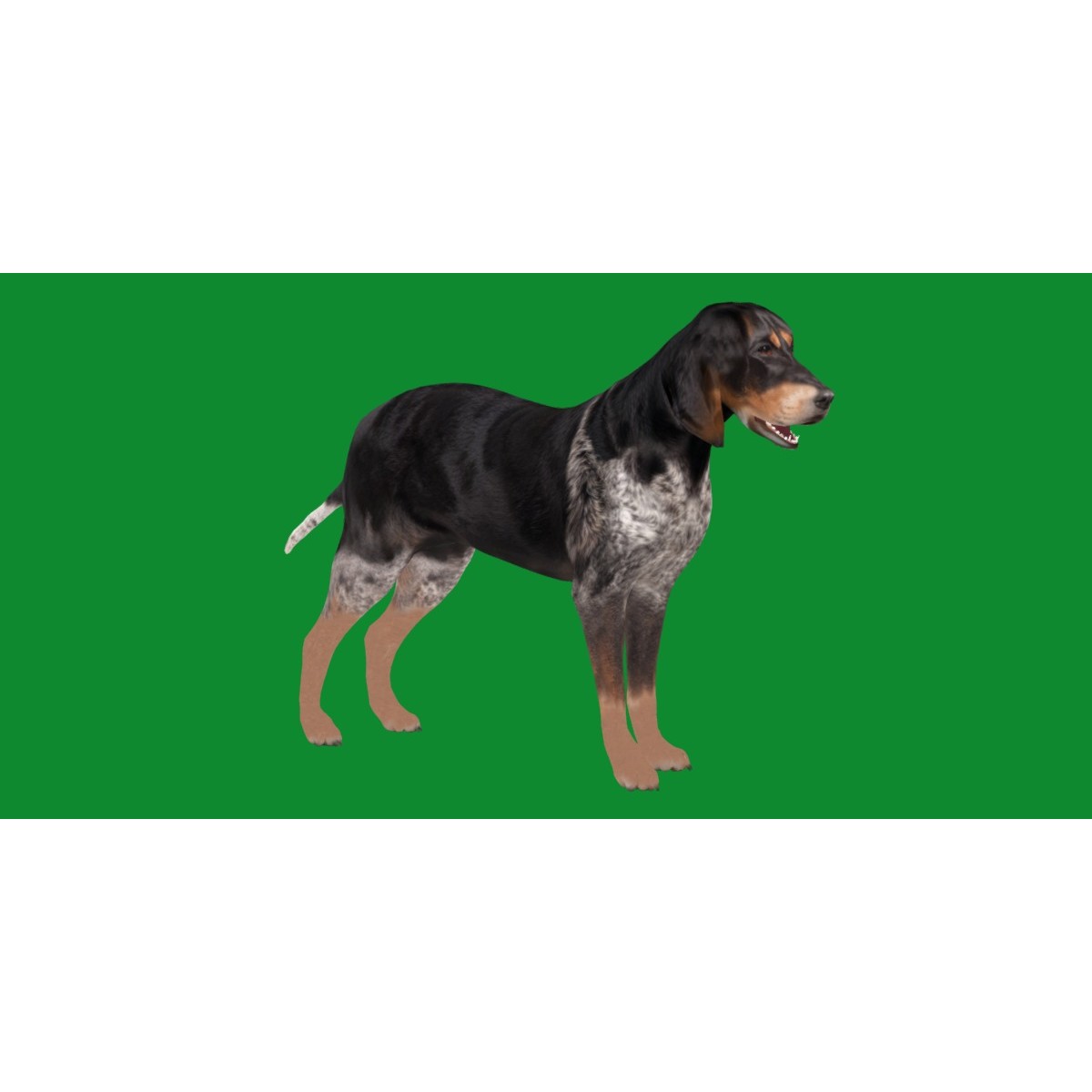 Grand Bleu De Gascogne Dog - Low-Poly Game-Ready 3D Model - View 33