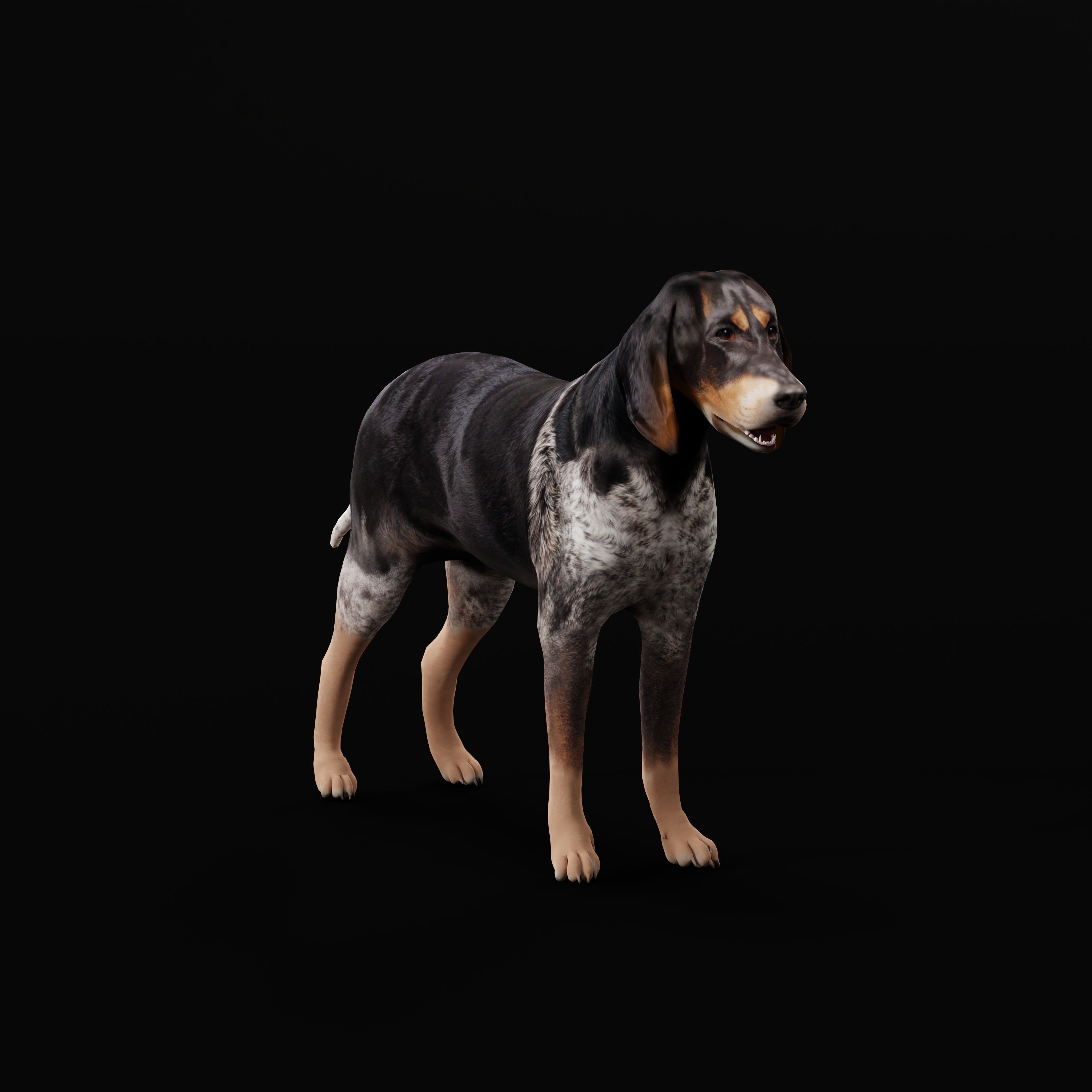 Grand Bleu De Gascogne Dog - Low-Poly Game-Ready 3D Model - View 9