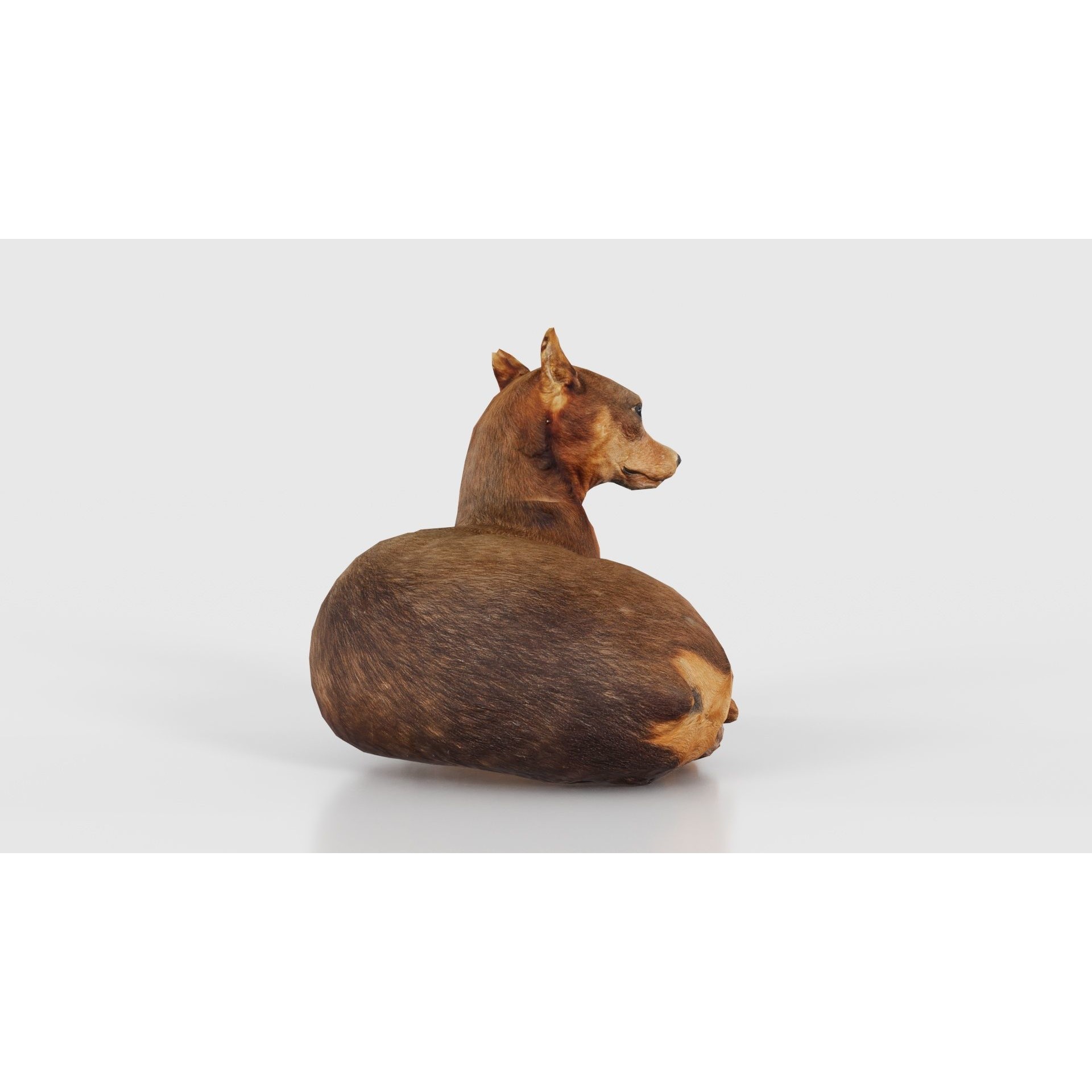 Dog - Low-Poly Game-Ready 3D Model - View 21