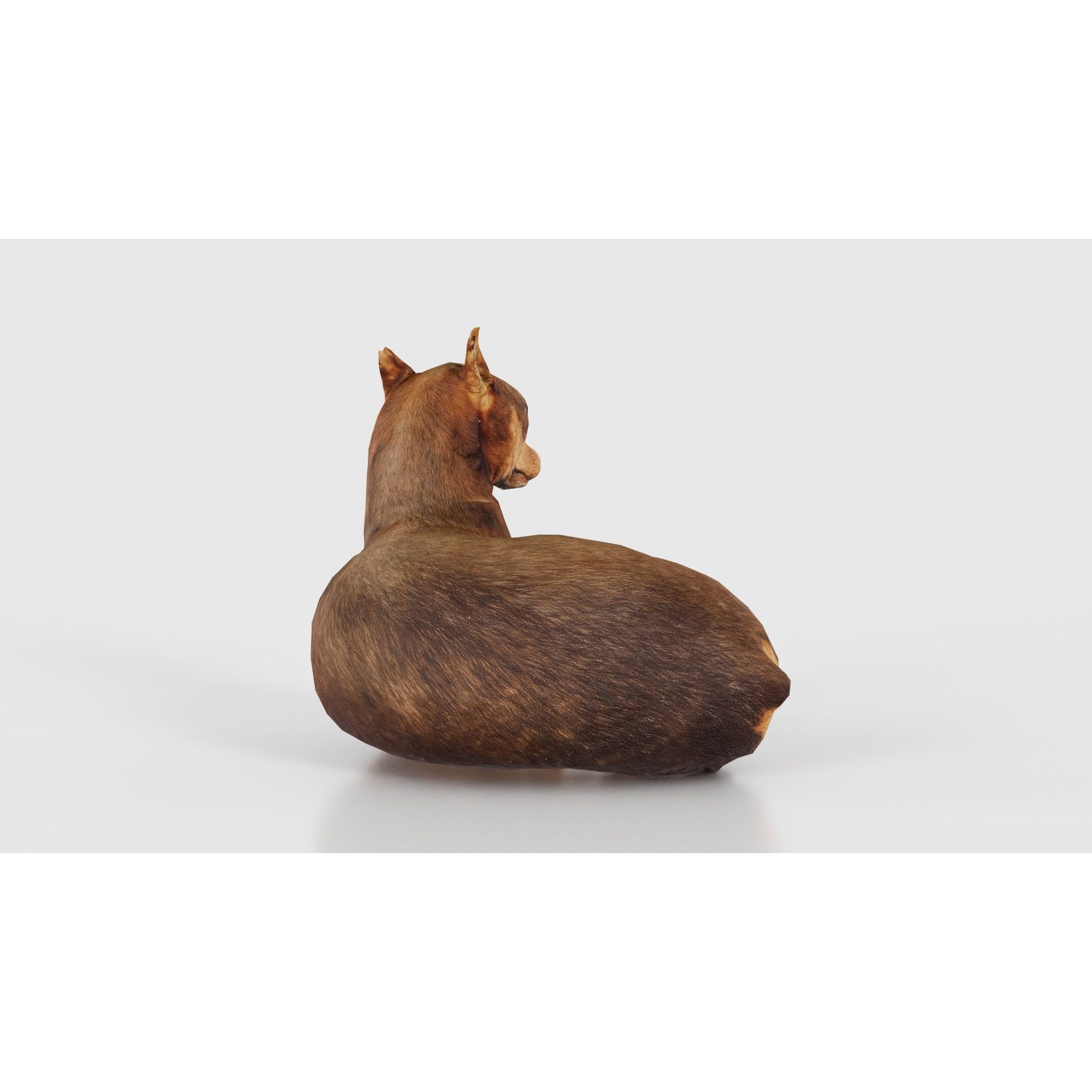 Dog - Low-Poly Game-Ready 3D Model - View 22