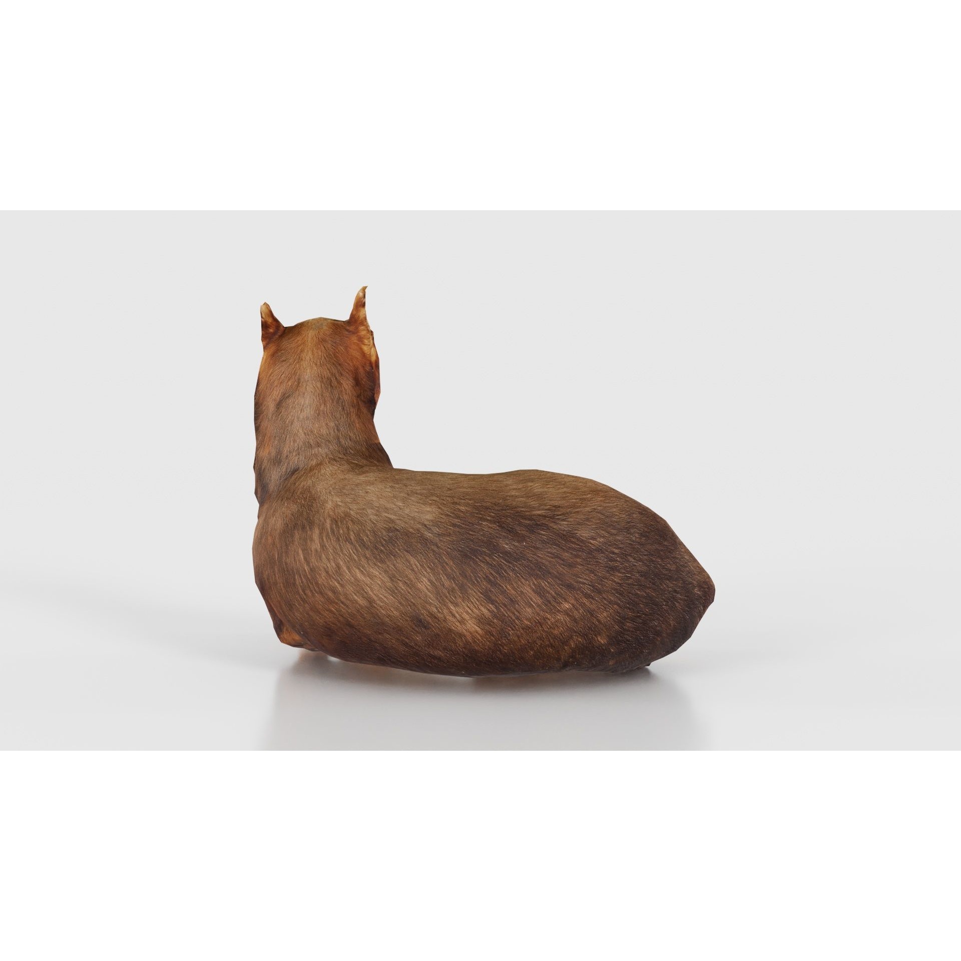 Dog - Low-Poly Game-Ready 3D Model - View 23