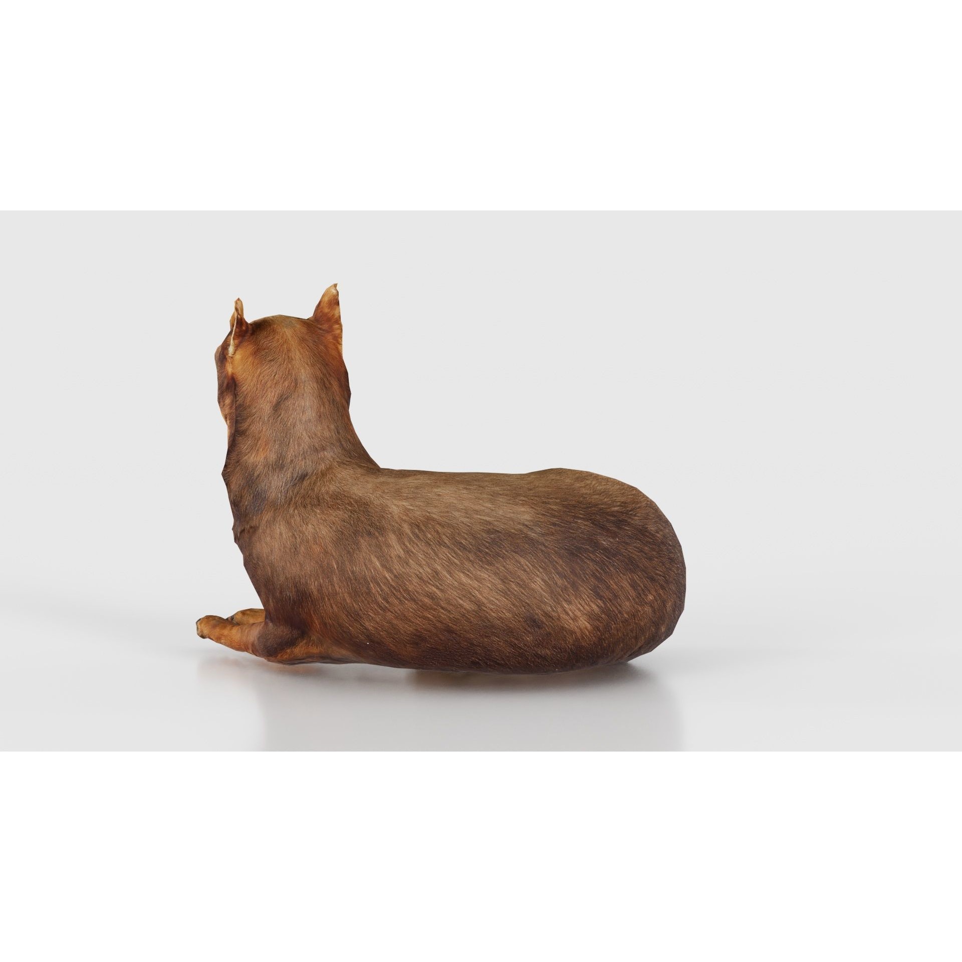 Dog - Low-Poly Game-Ready 3D Model - View 24