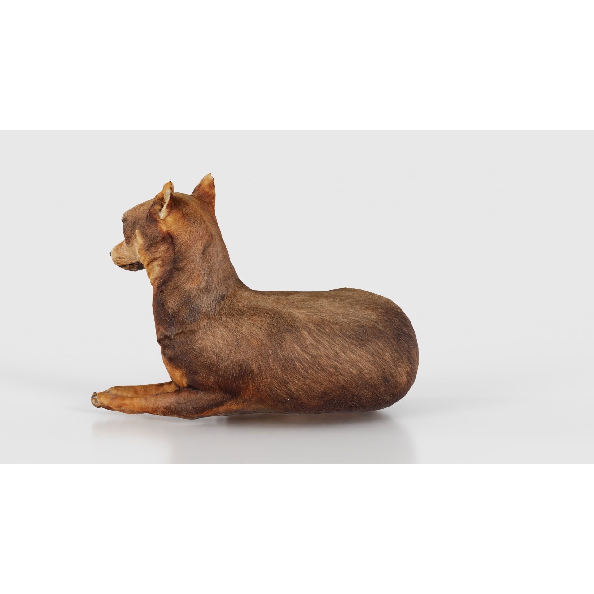 Dog - Low-Poly Game-Ready 3D Model - View 25
