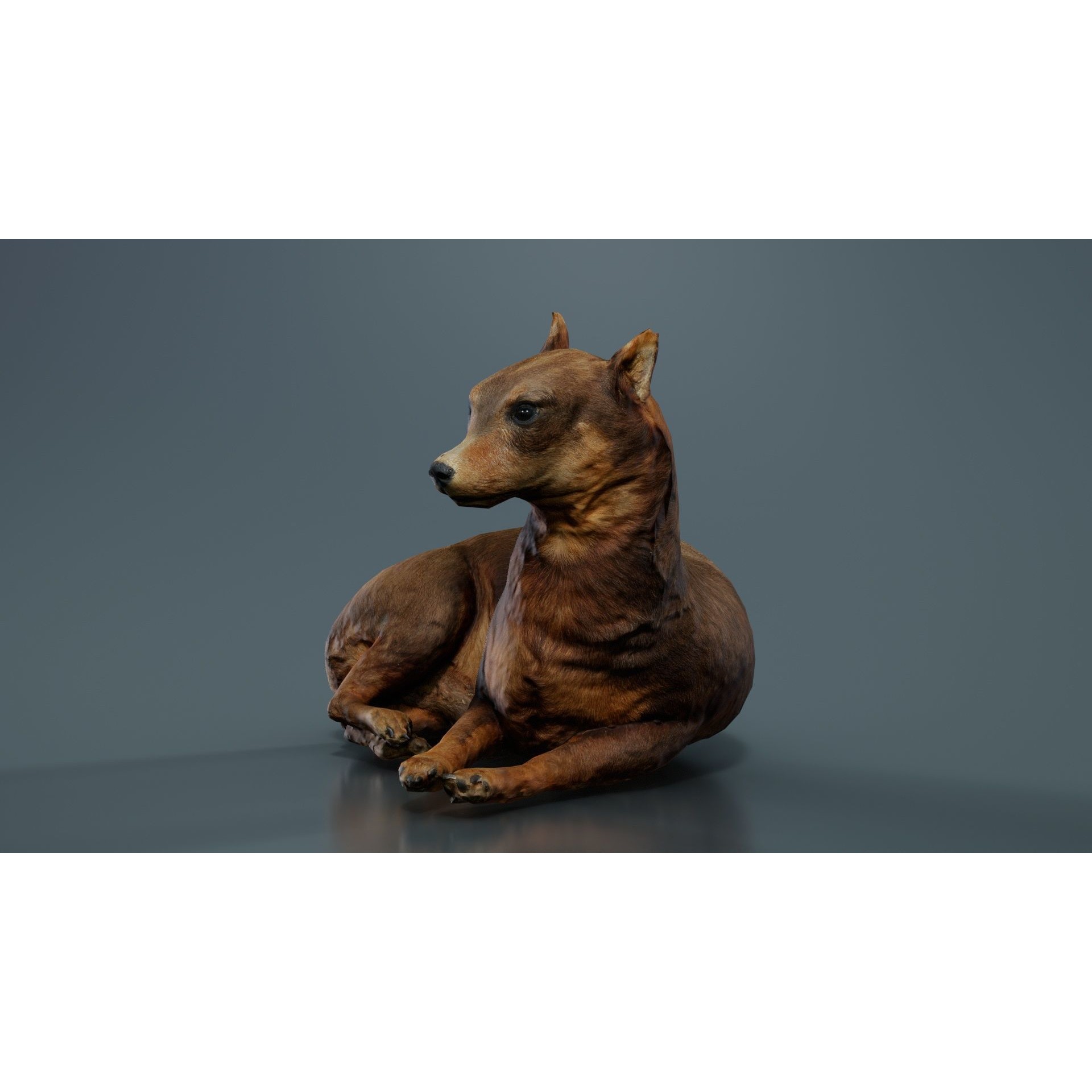 Dog - Low-Poly Game-Ready 3D Model - View 4