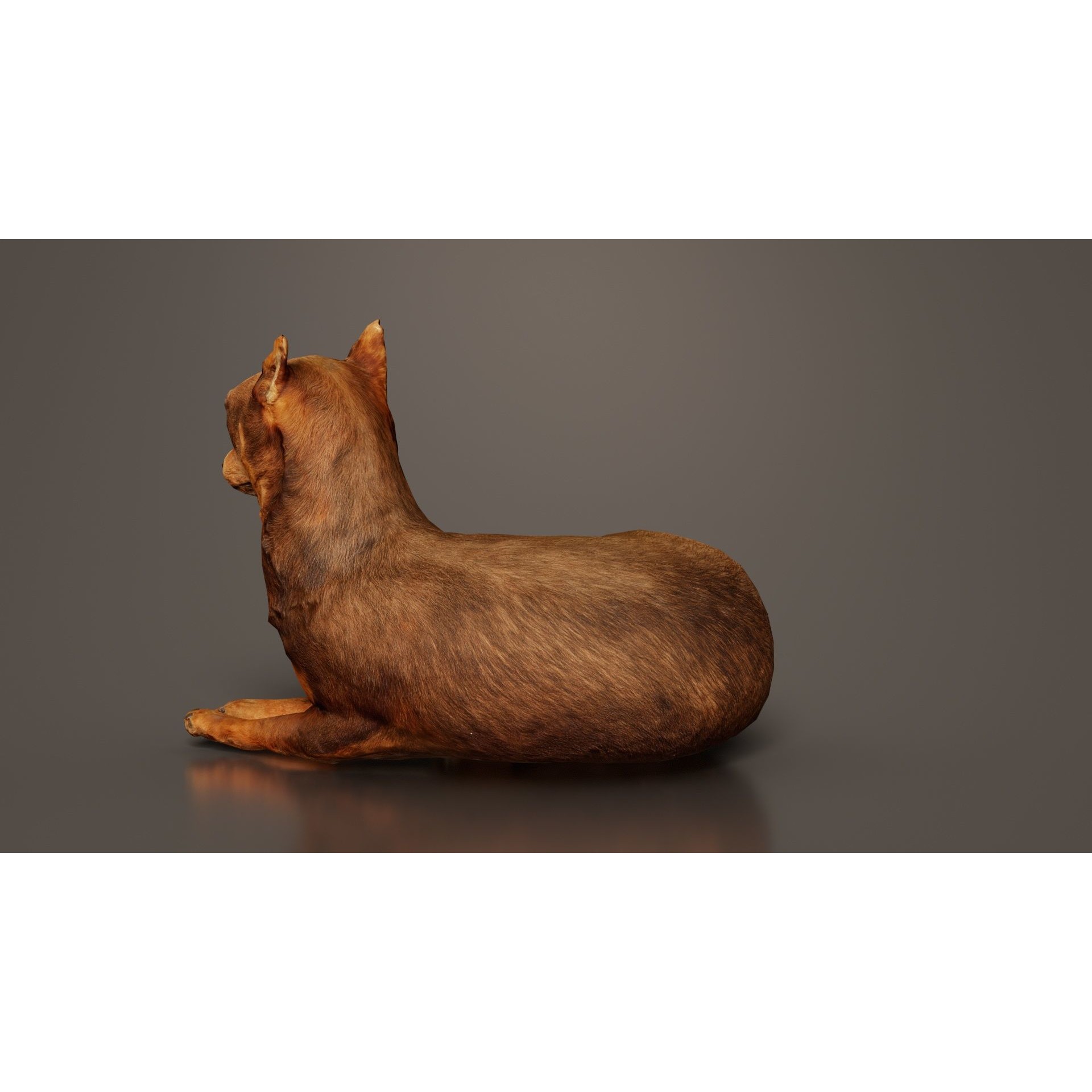 Dog - Low-Poly Game-Ready 3D Model - View 6