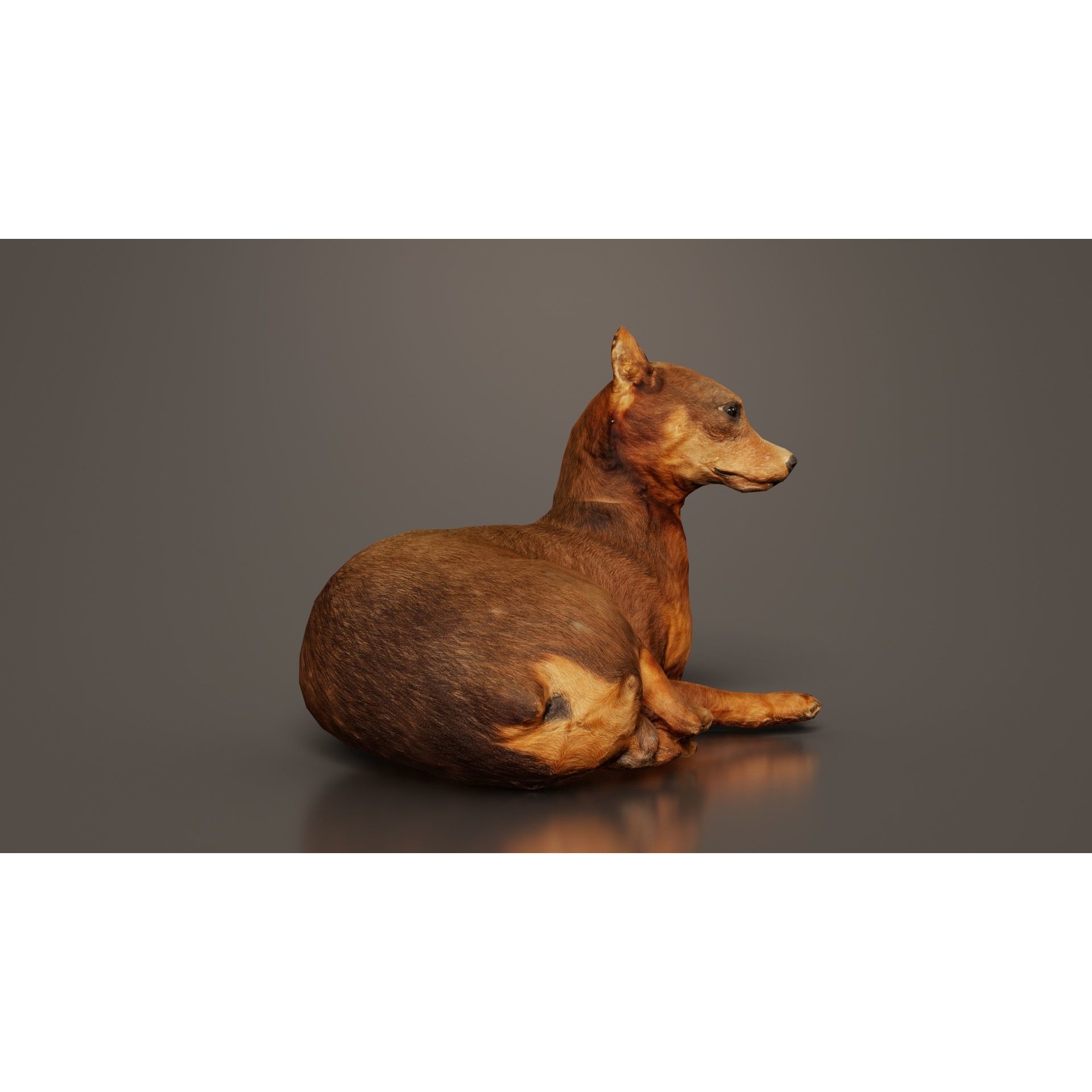 Dog - Low-Poly Game-Ready 3D Model - View 7