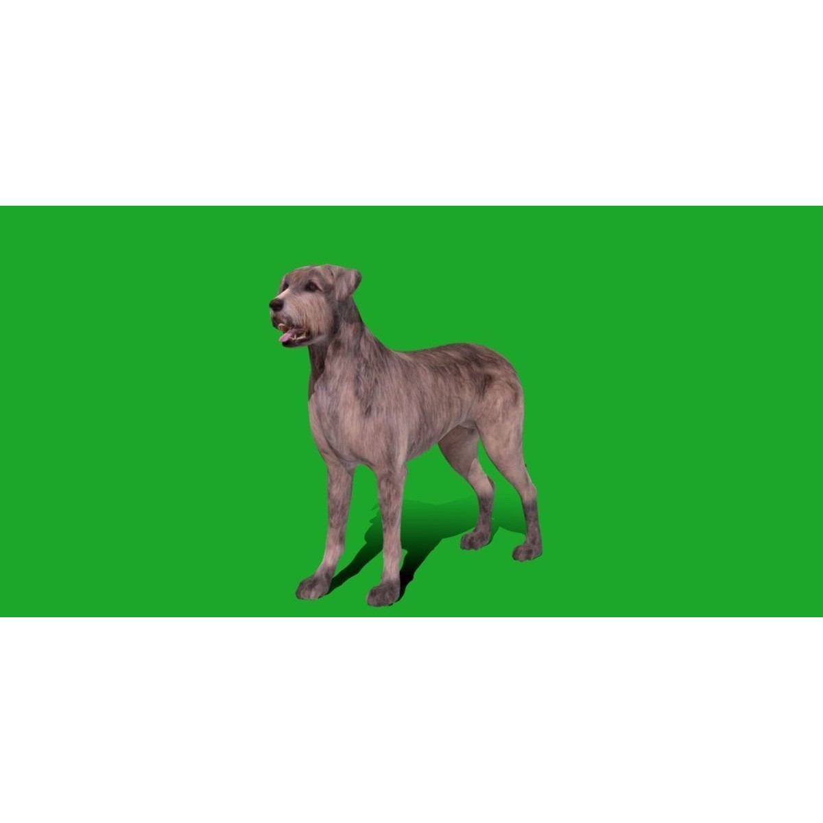 Irish Wolfhound Dog - Low-Poly Game-Ready 3D Model
