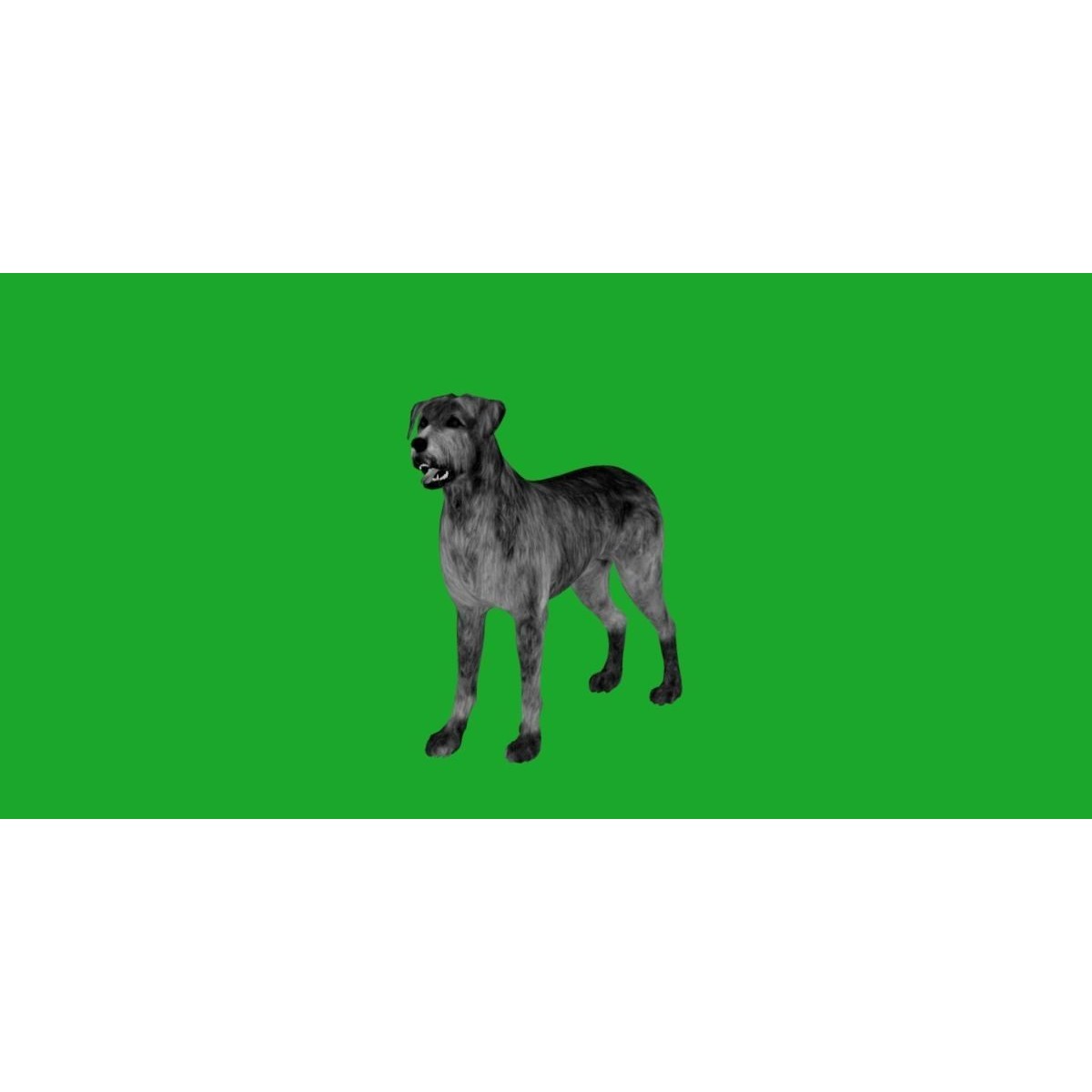 Irish Wolfhound Dog - Low-Poly Game-Ready 3D Model - View 12