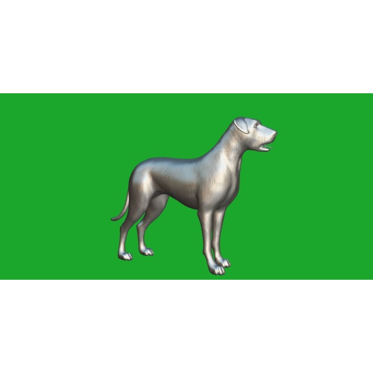 Irish Wolfhound Dog - Low-Poly Game-Ready 3D Model - View 14