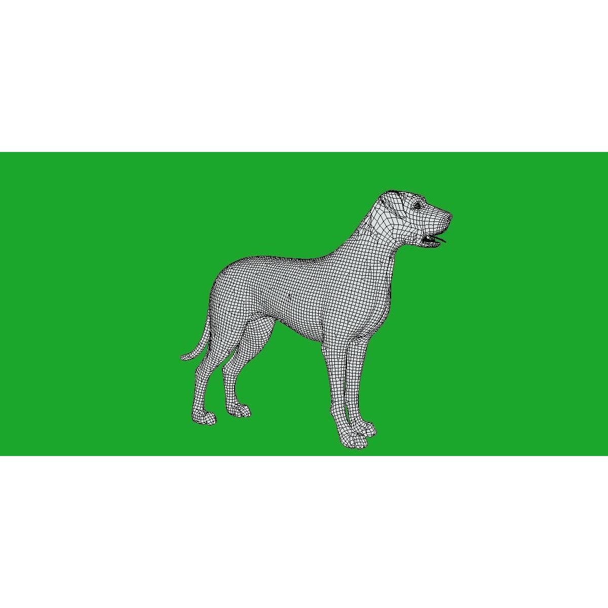 Irish Wolfhound Dog - Low-Poly Game-Ready 3D Model - View 15