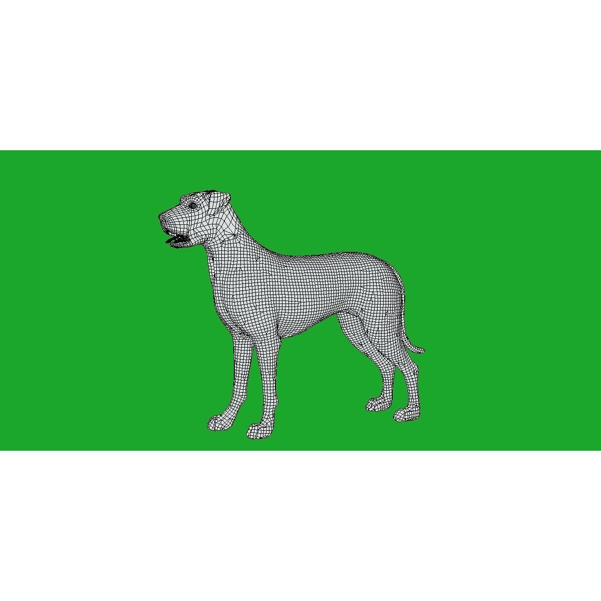 Irish Wolfhound Dog - Low-Poly Game-Ready 3D Model - View 16