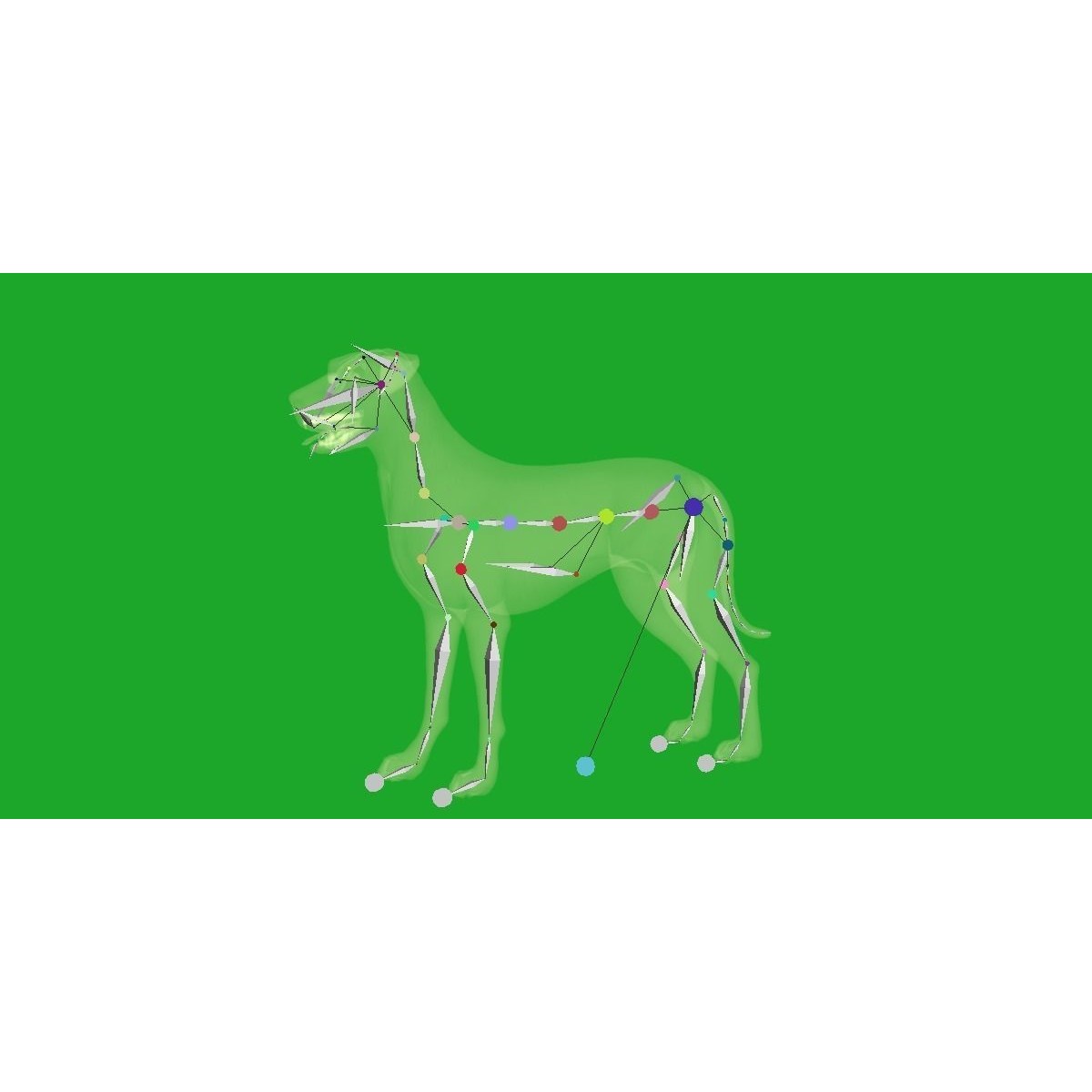 Irish Wolfhound Dog - Low-Poly Game-Ready 3D Model - View 26