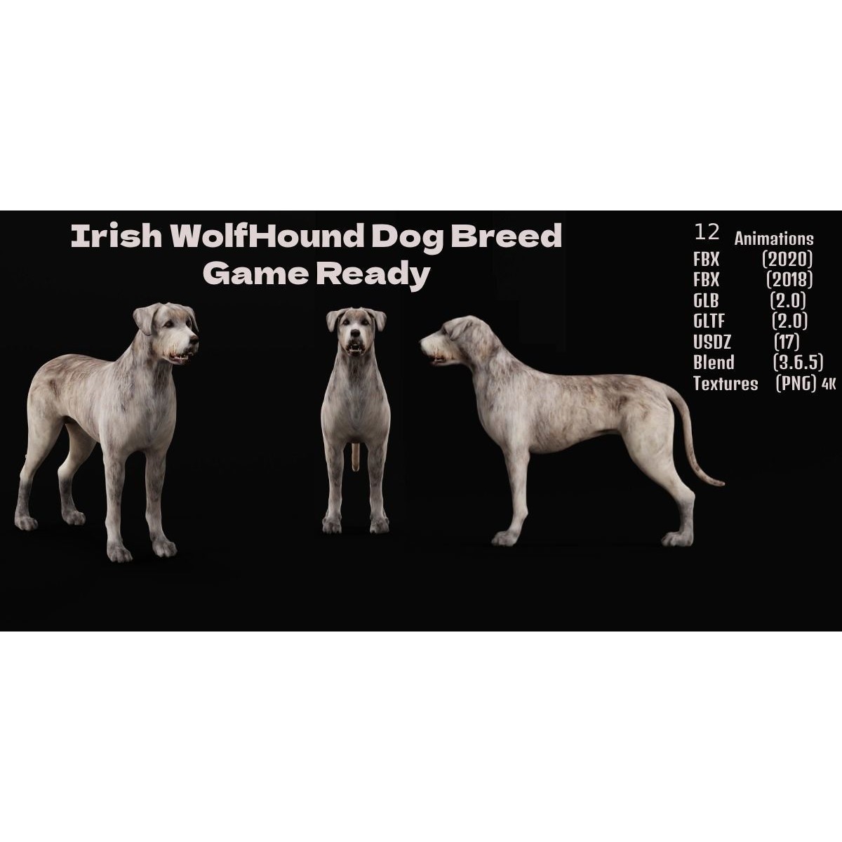 Irish Wolfhound Dog - Low-Poly Game-Ready 3D Model - View 3