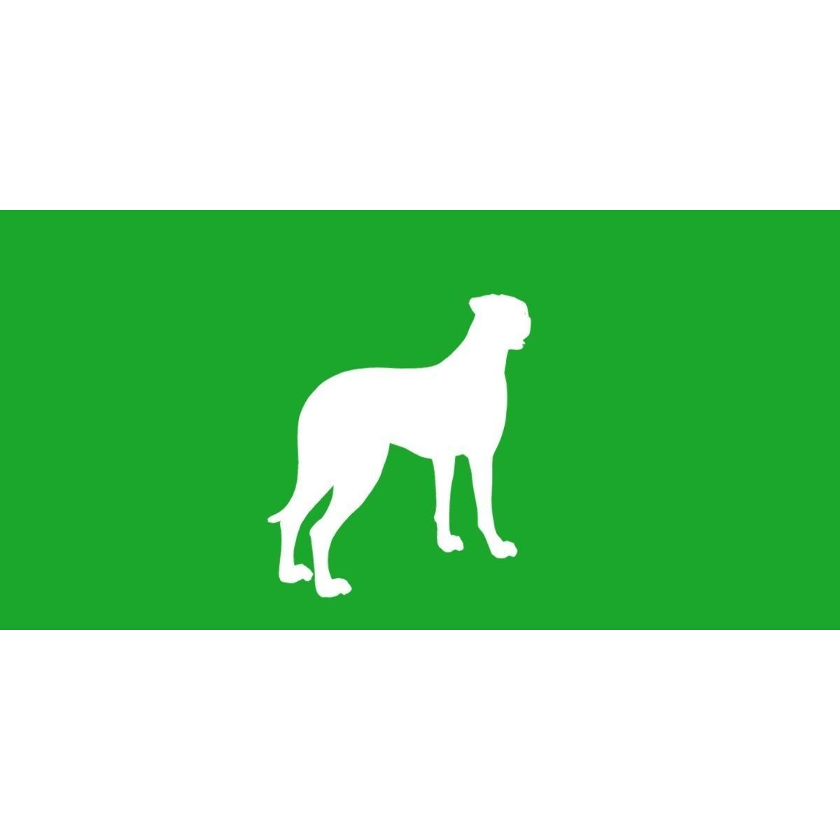 Irish Wolfhound Dog - Low-Poly Game-Ready 3D Model - View 31