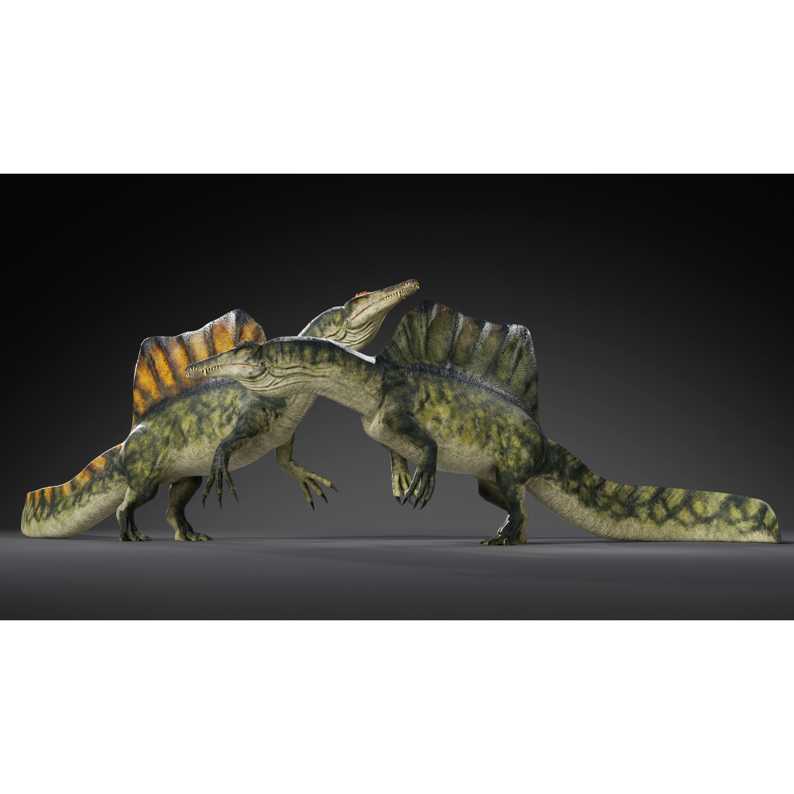Spinosaurus - Low-Poly Game-Ready 3D Model - View 11