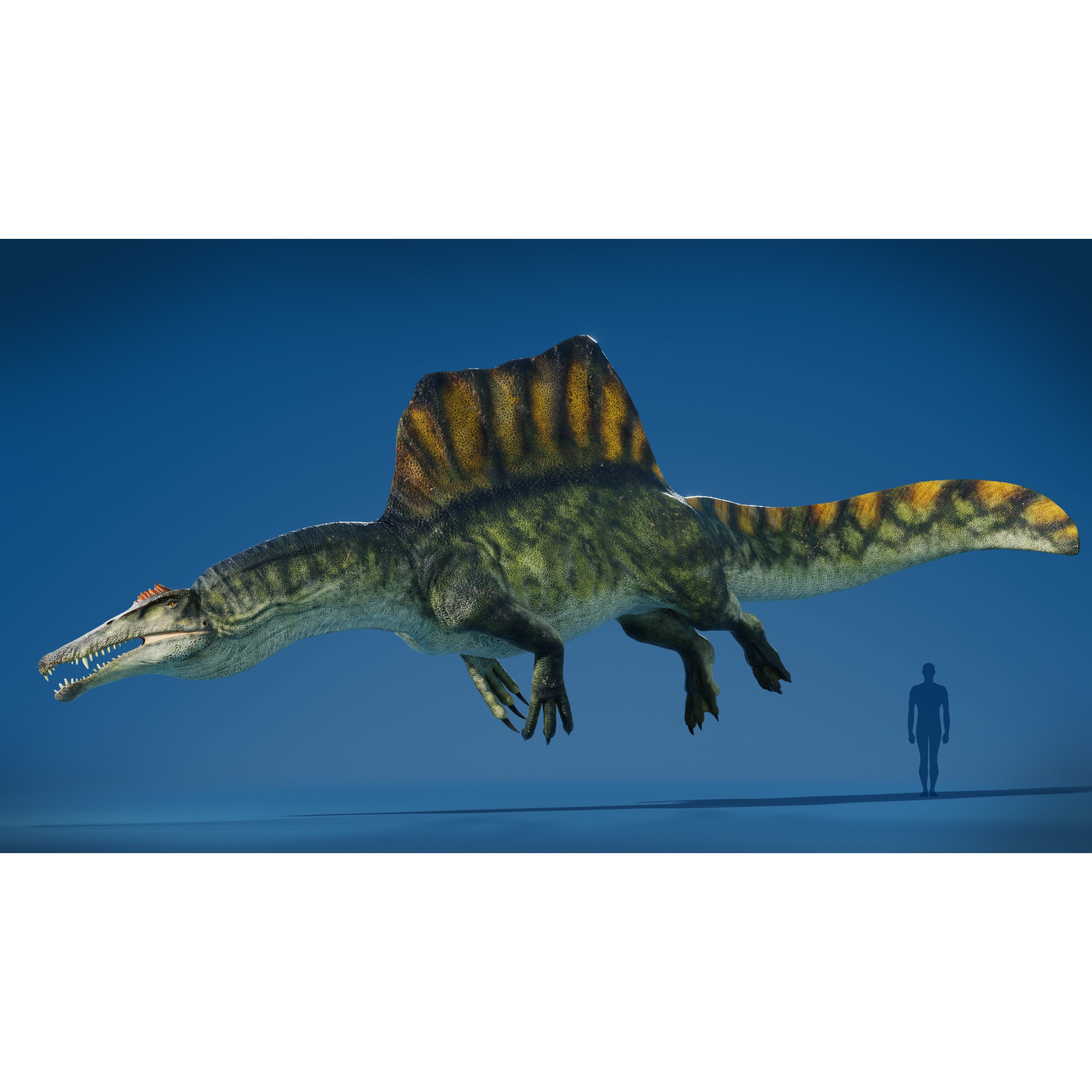 Spinosaurus - Low-Poly Game-Ready 3D Model - View 12