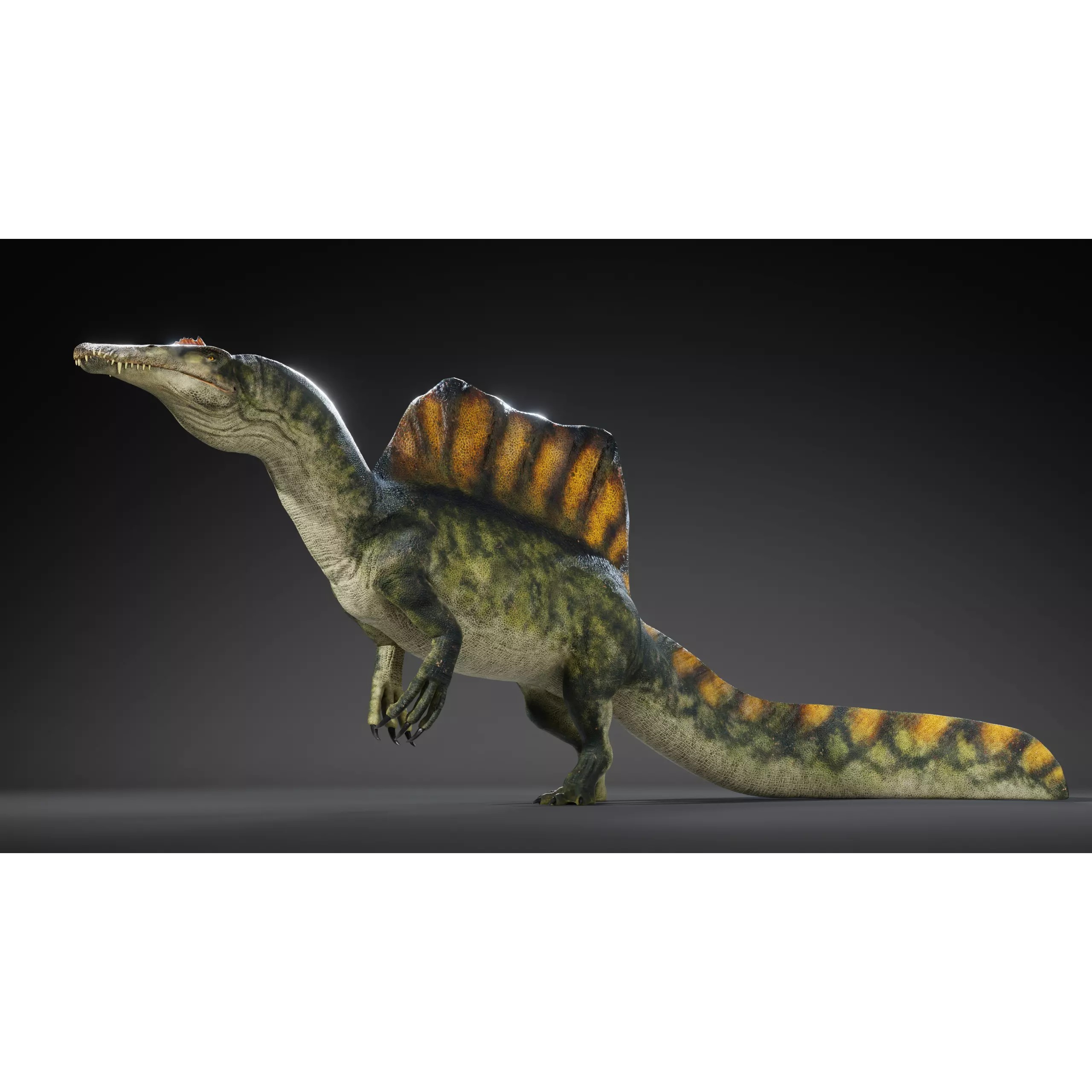 Spinosaurus - Low-Poly Game-Ready 3D Model - View 2