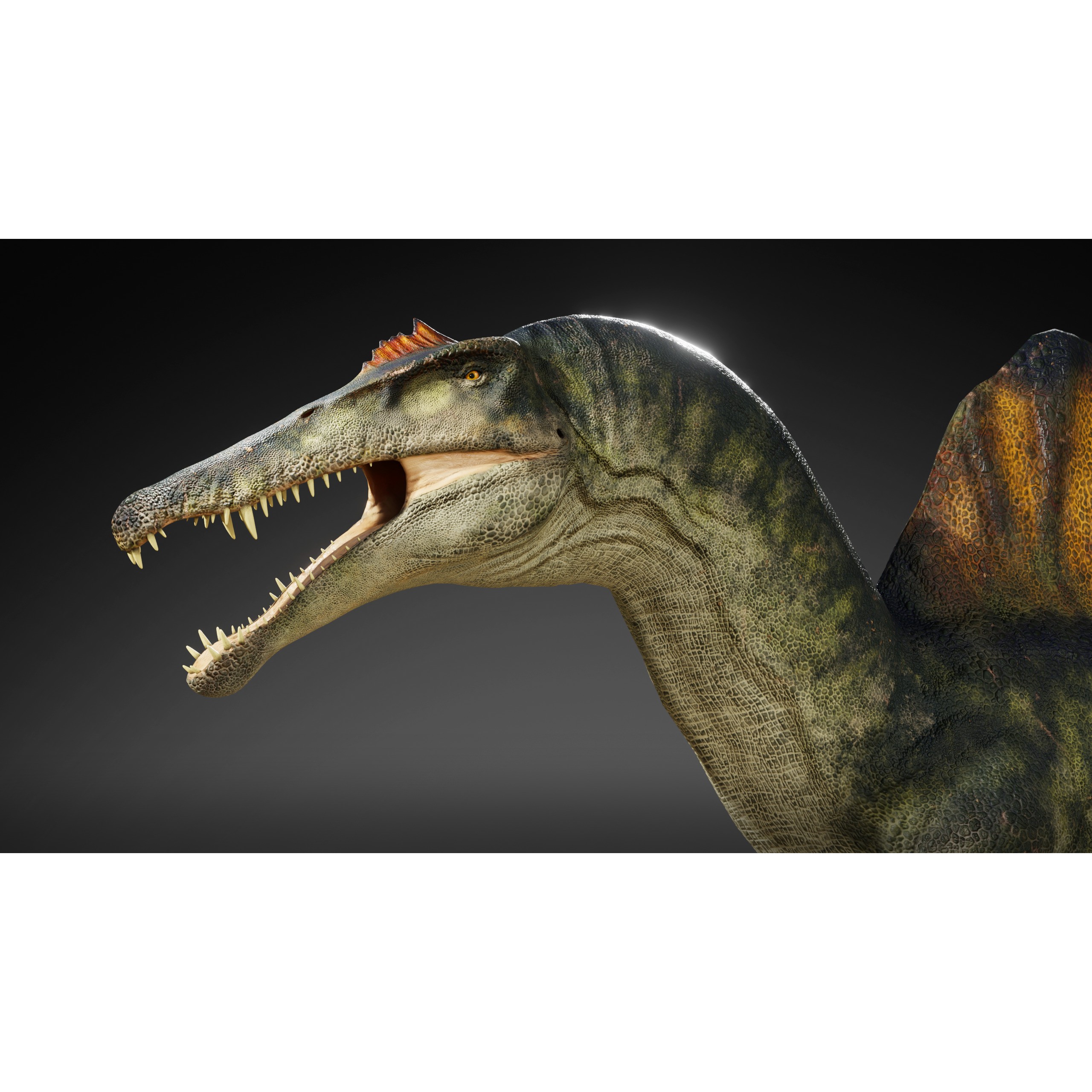 Spinosaurus - Low-Poly Game-Ready 3D Model - View 3