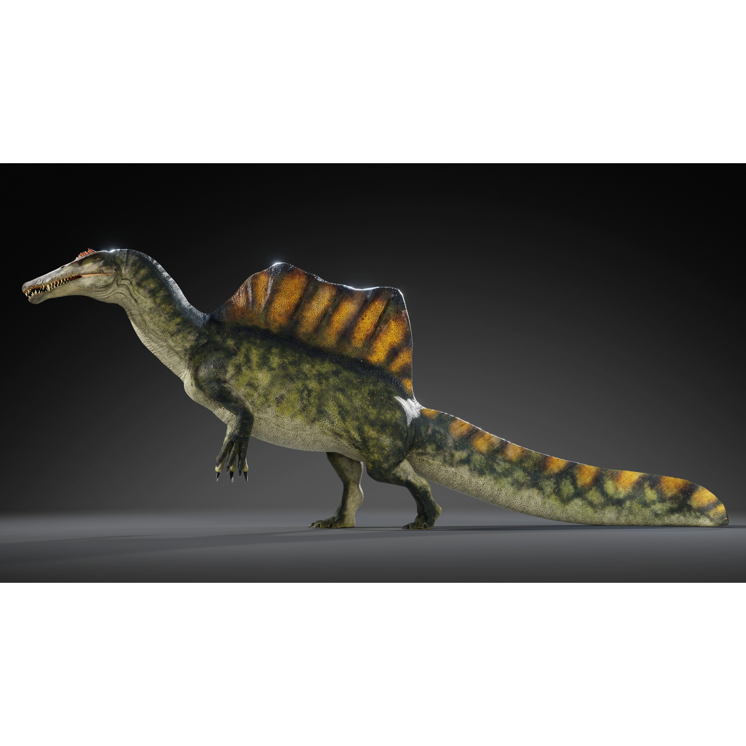 Spinosaurus - Low-Poly Game-Ready 3D Model - View 5