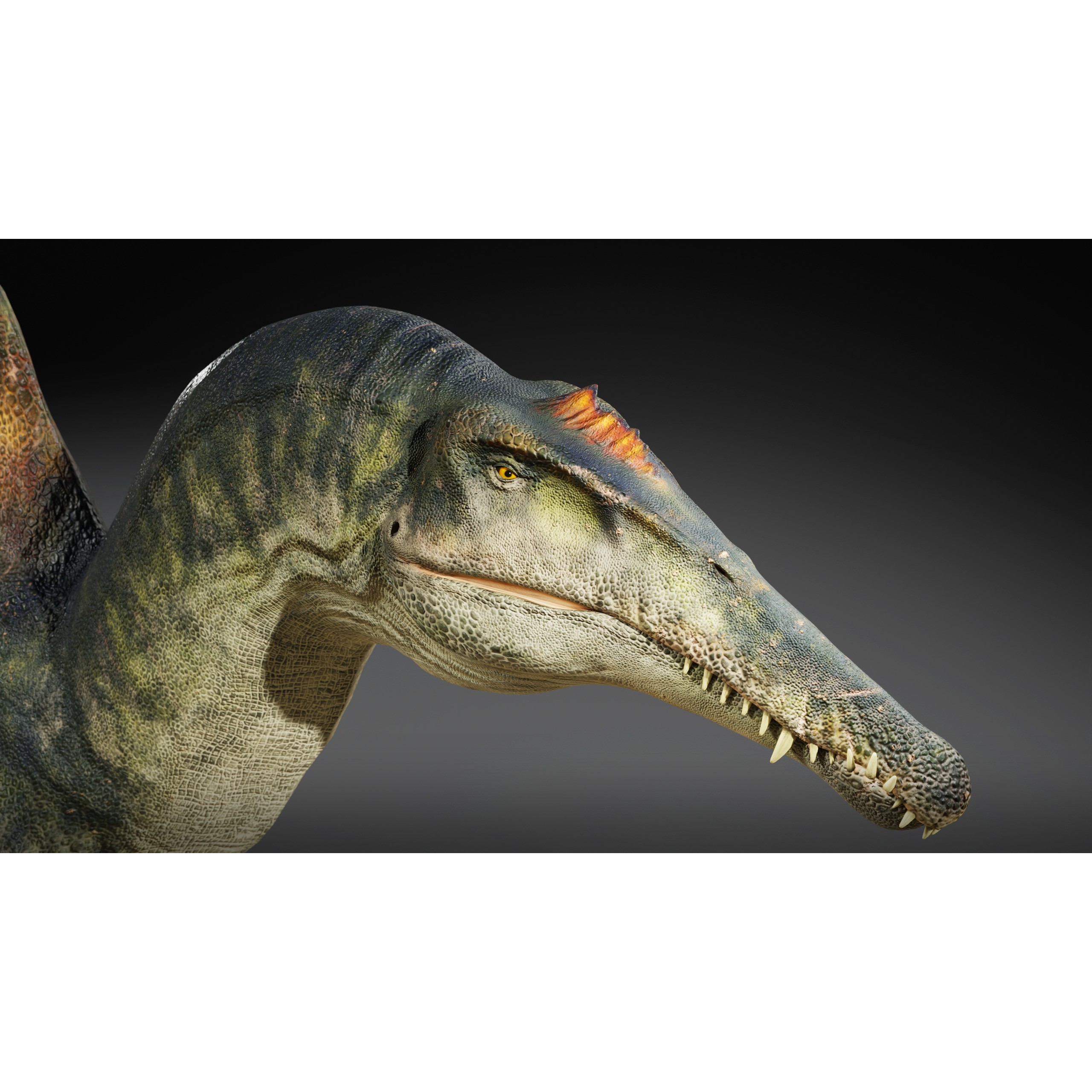 Spinosaurus - Low-Poly Game-Ready 3D Model - View 7