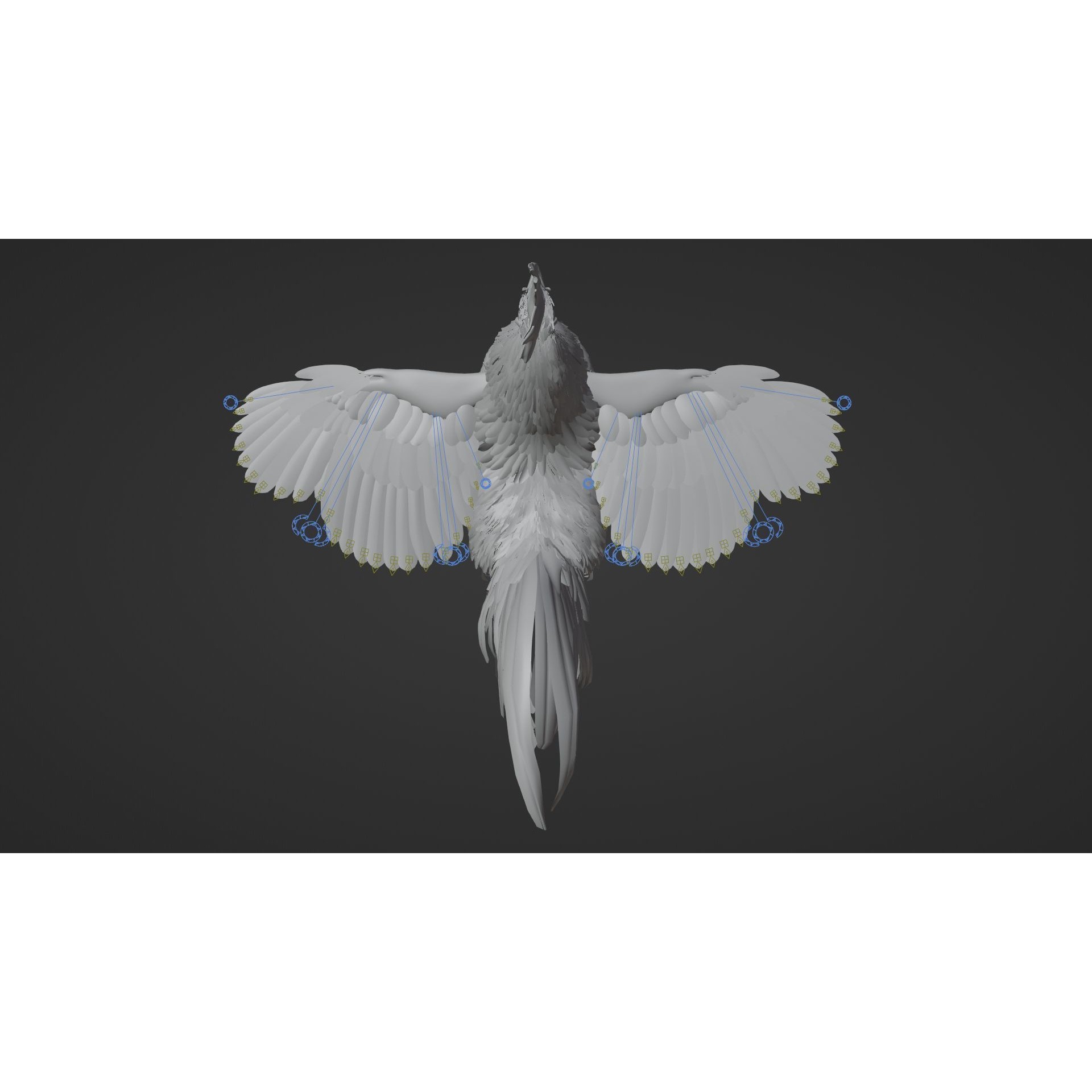 Black Cock - Rigged Animated Game-Ready 3D Model - View 27