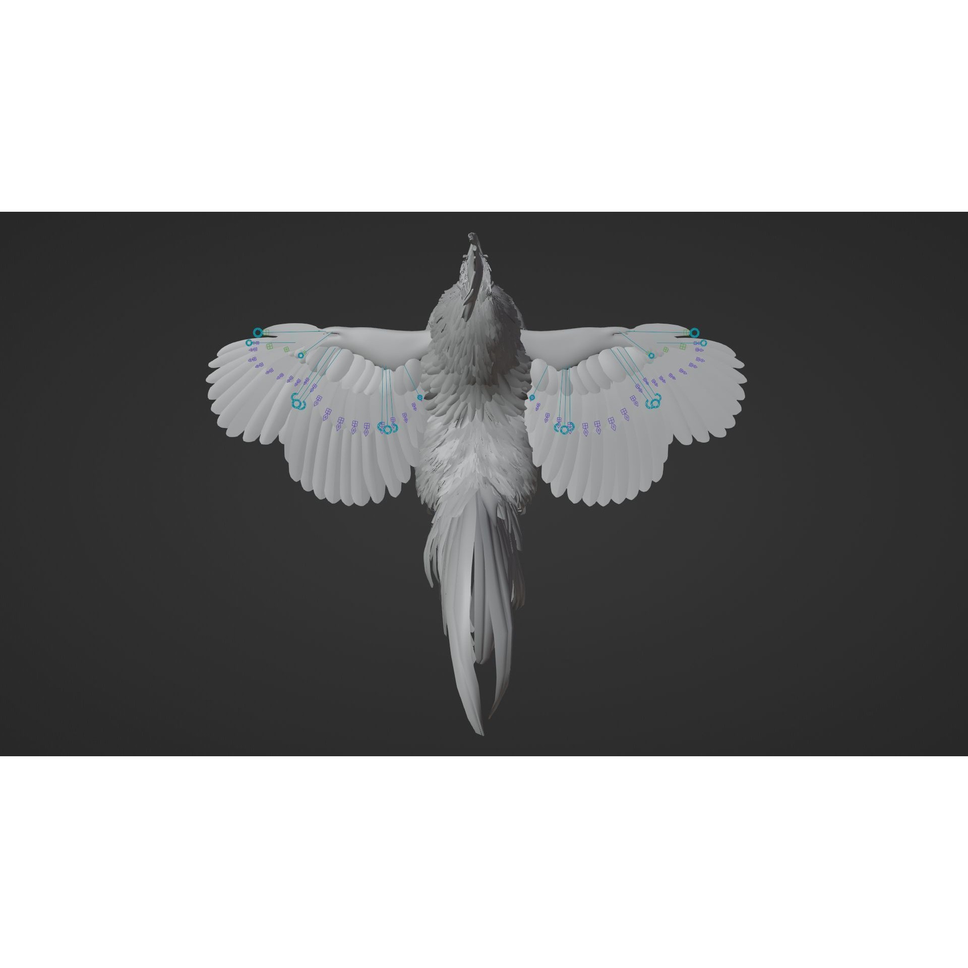 Black Cock - Rigged Animated Game-Ready 3D Model - View 29