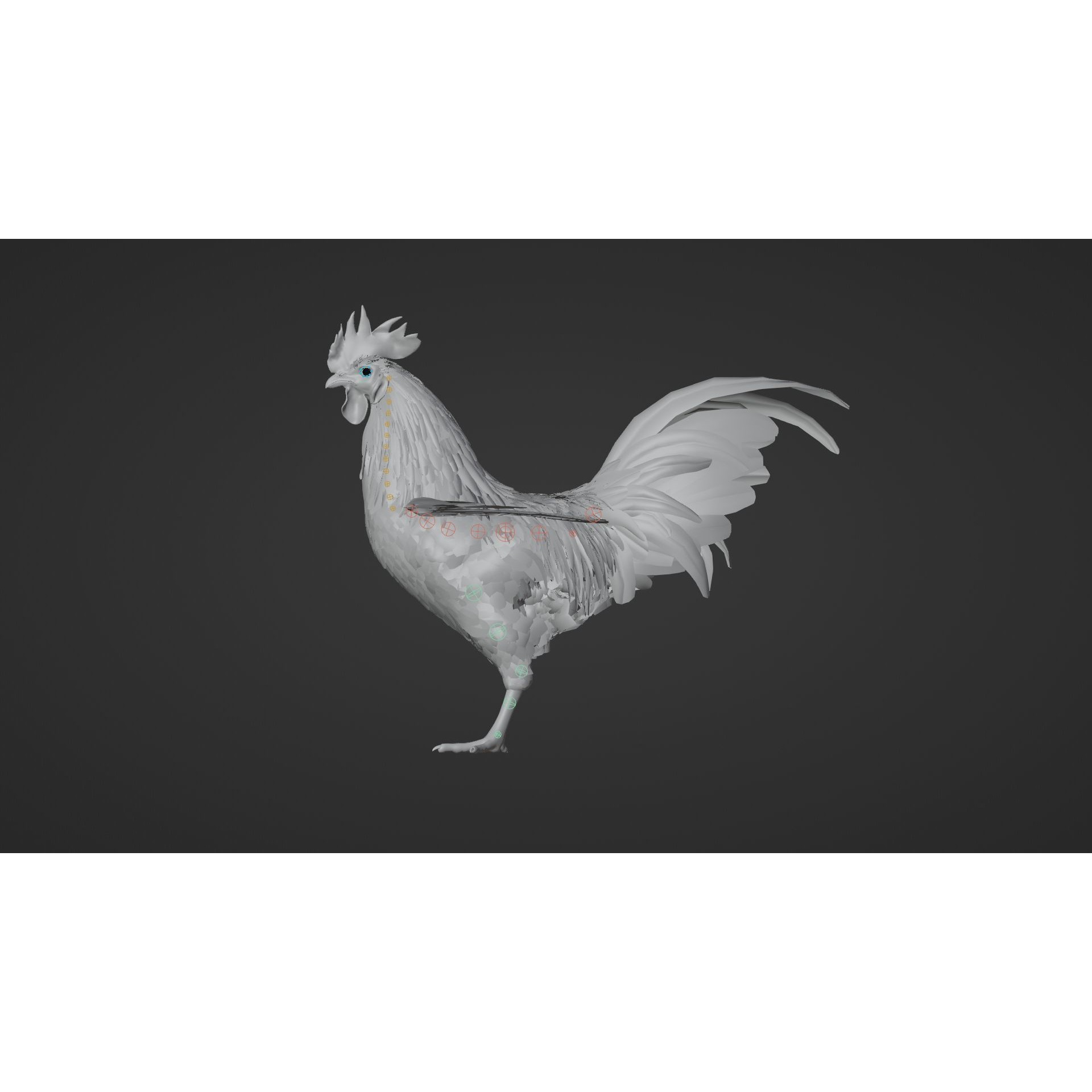 Black Cock - Rigged Animated Game-Ready 3D Model - View 30