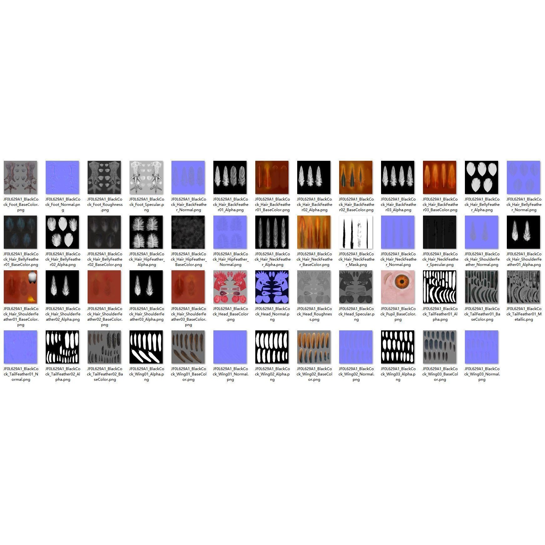 Black Cock - Rigged Animated Game-Ready 3D Model - View 35