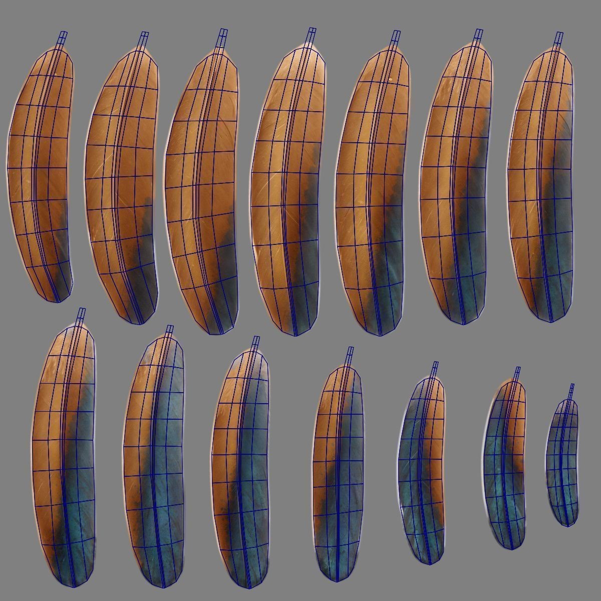 Black Cock - Rigged Animated Game-Ready 3D Model - View 48