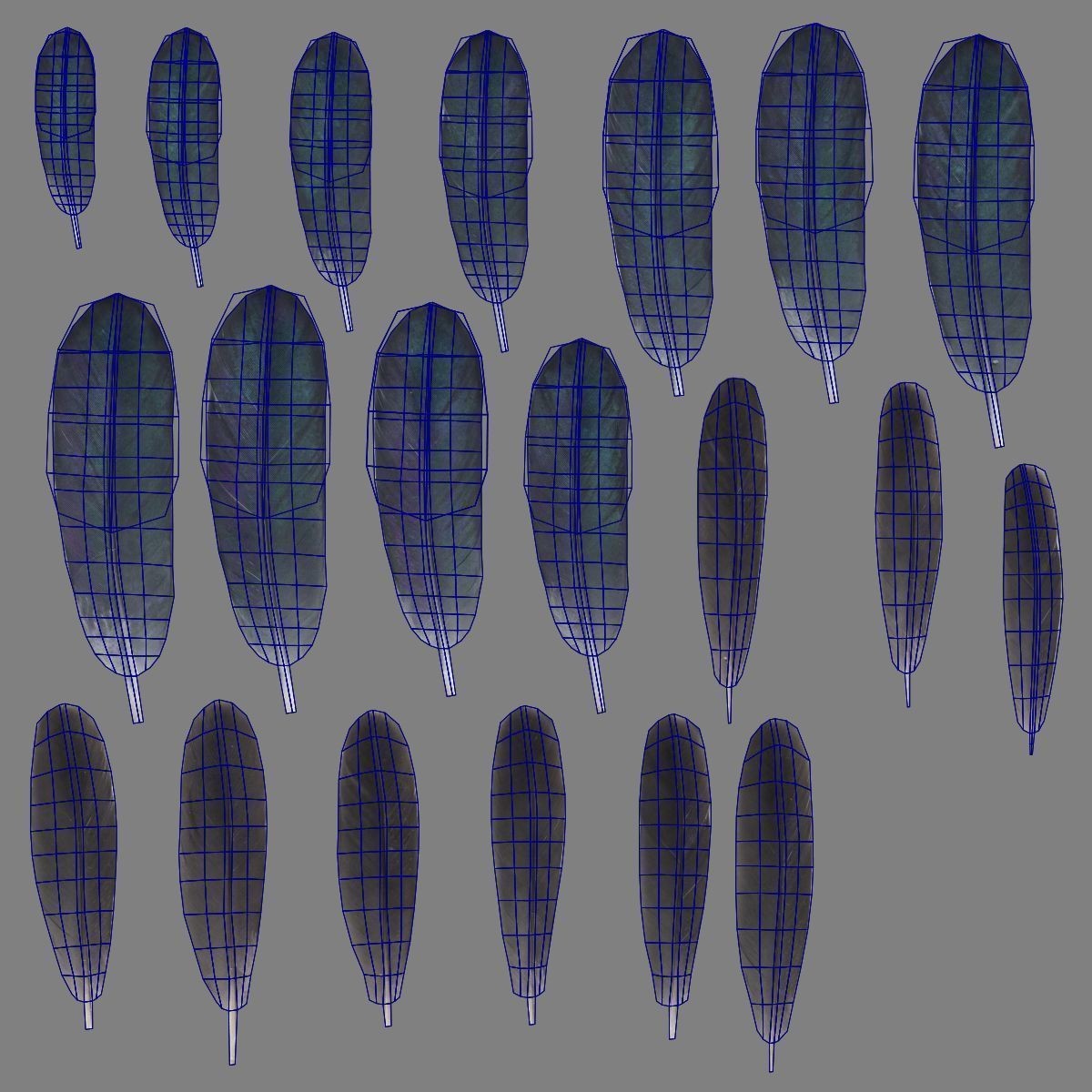 Black Cock - Rigged Animated Game-Ready 3D Model - View 52