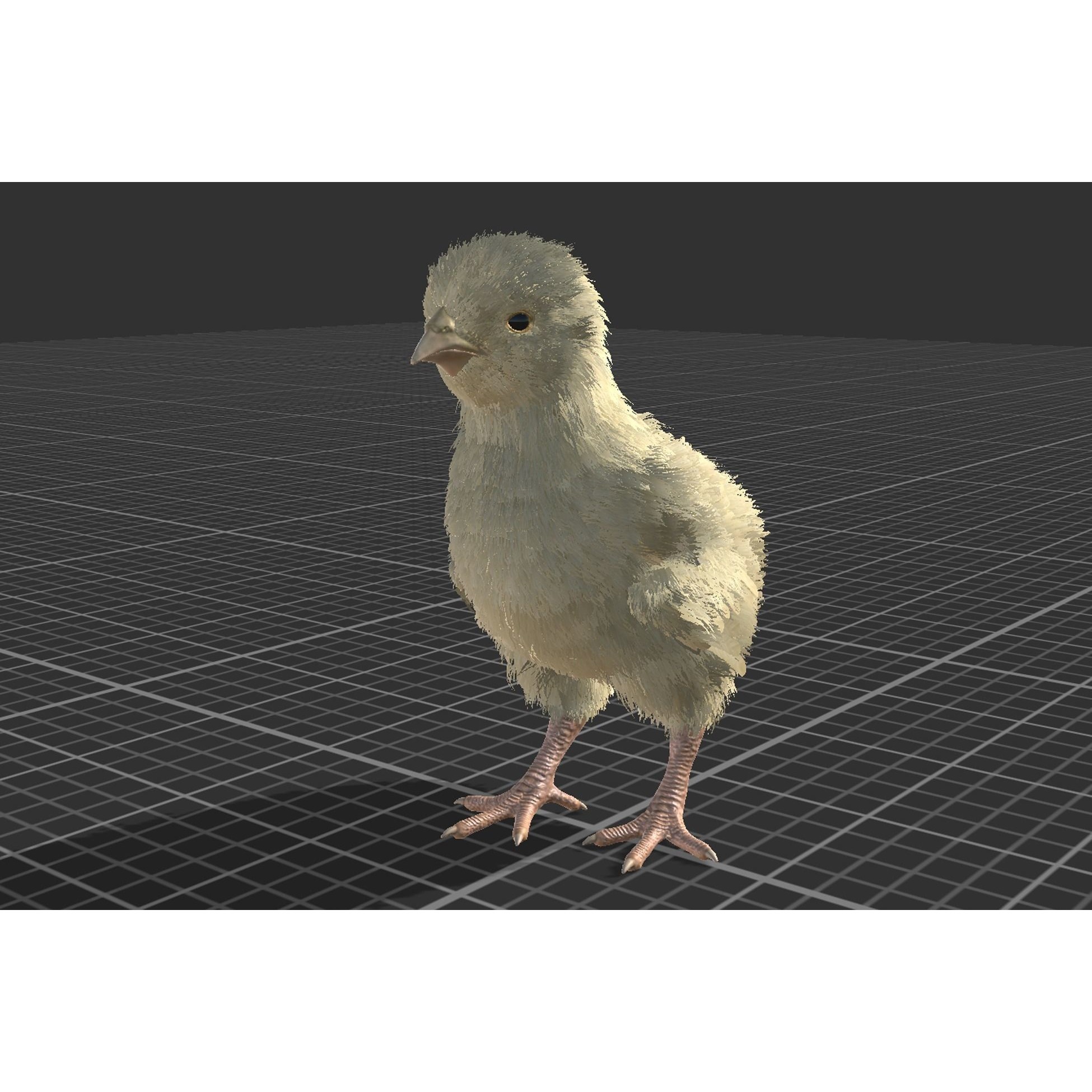Feathered Chick - Low-Poly Game-Ready 3D Model - View 10