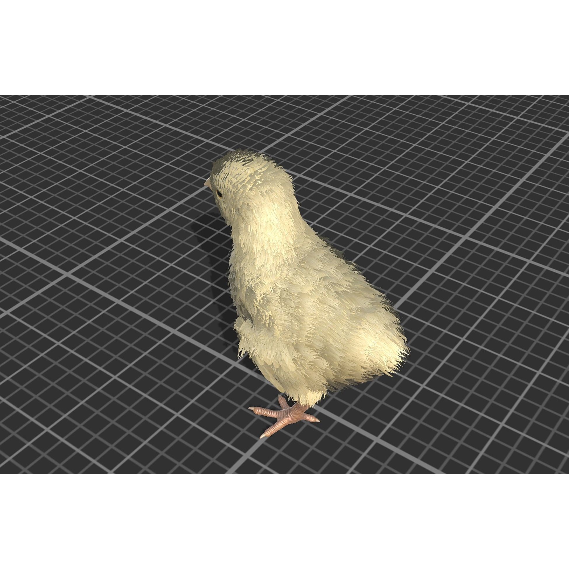 Feathered Chick - Low-Poly Game-Ready 3D Model - View 11