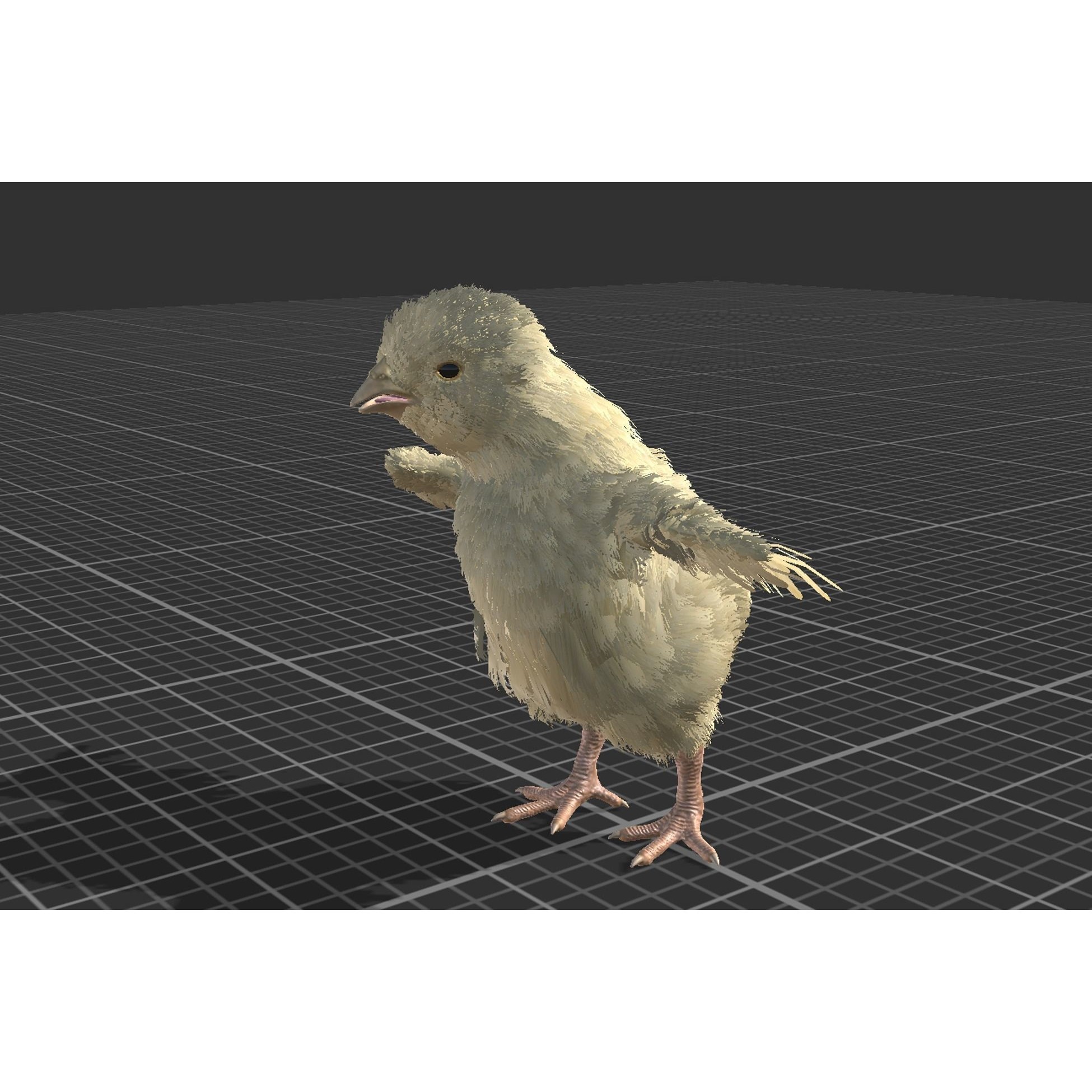 Feathered Chick - Low-Poly Game-Ready 3D Model - View 13