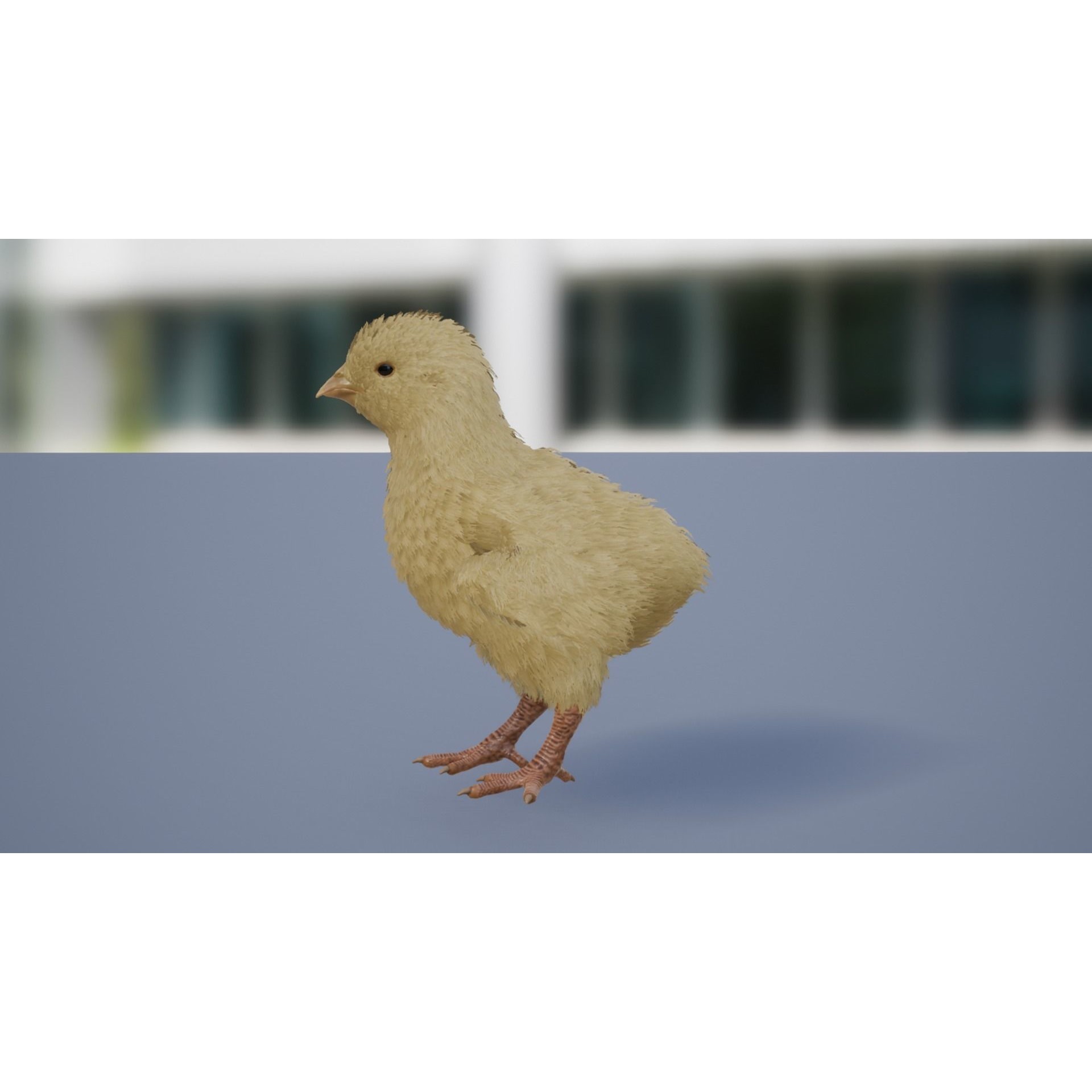 Feathered Chick - Low-Poly Game-Ready 3D Model - View 3