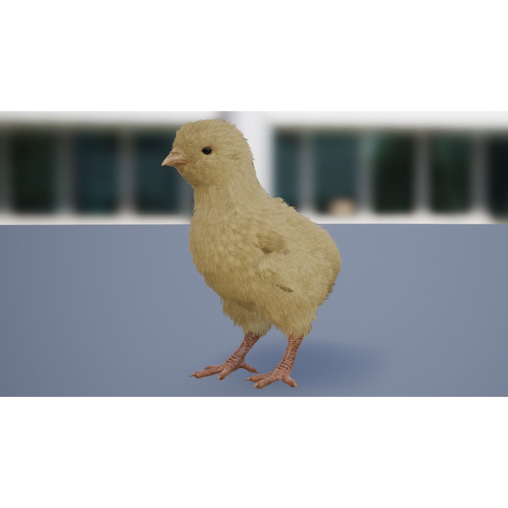 Feathered Chick - Low-Poly Game-Ready 3D Model - View 4