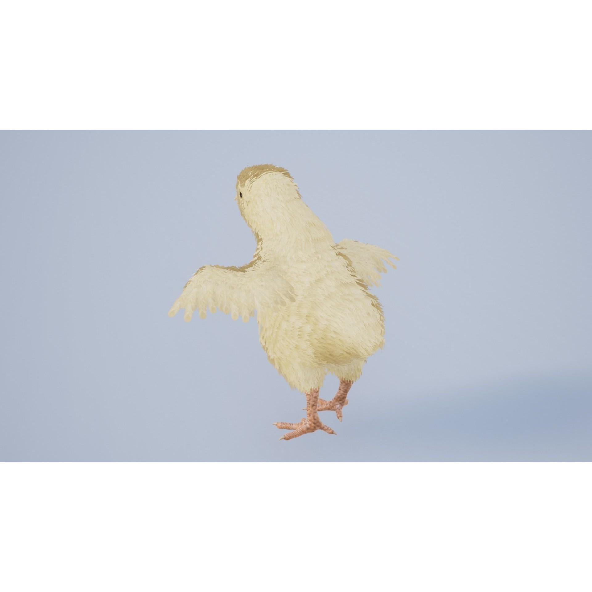 Feathered Chick - Low-Poly Game-Ready 3D Model - View 7