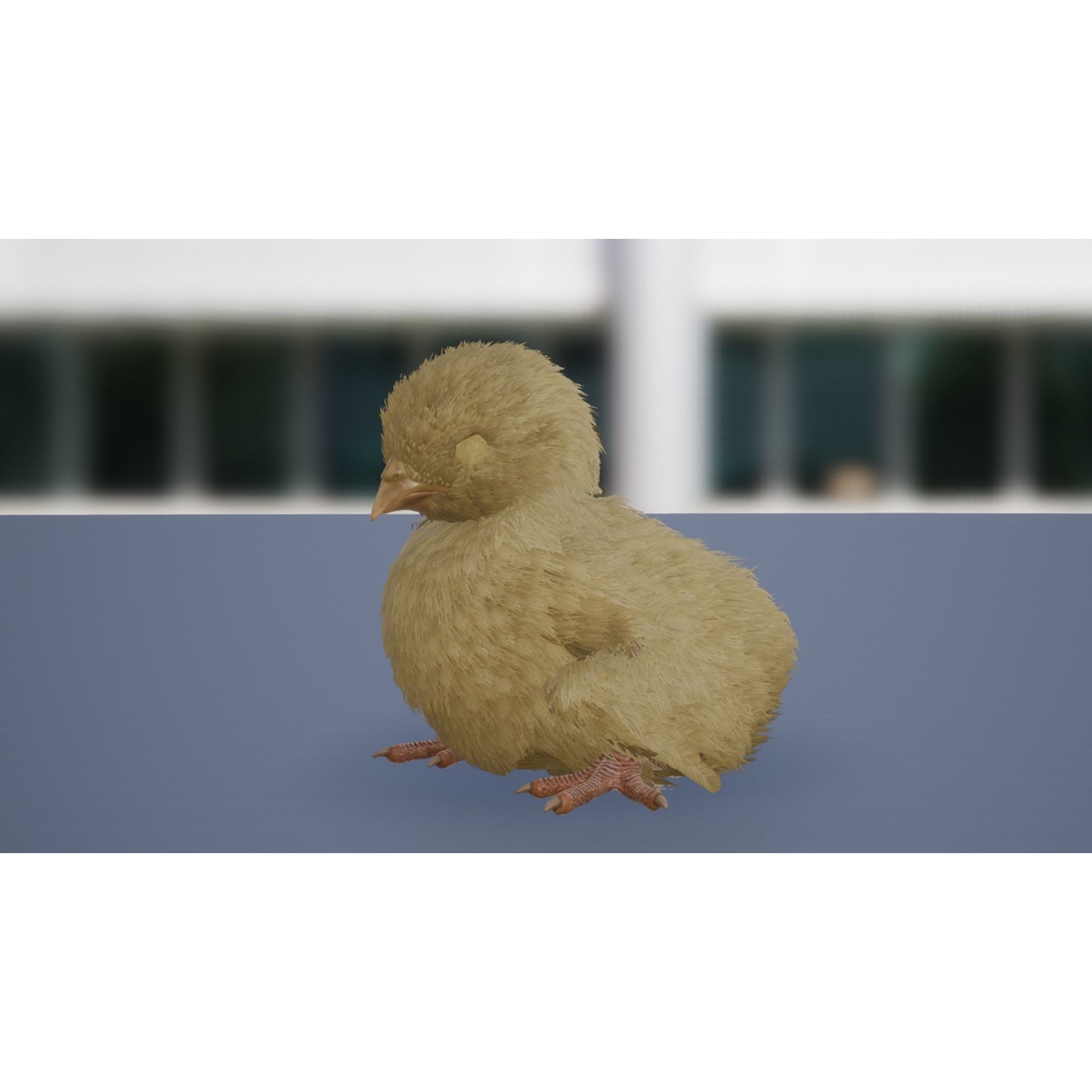 Feathered Chick - Low-Poly Game-Ready 3D Model - View 8